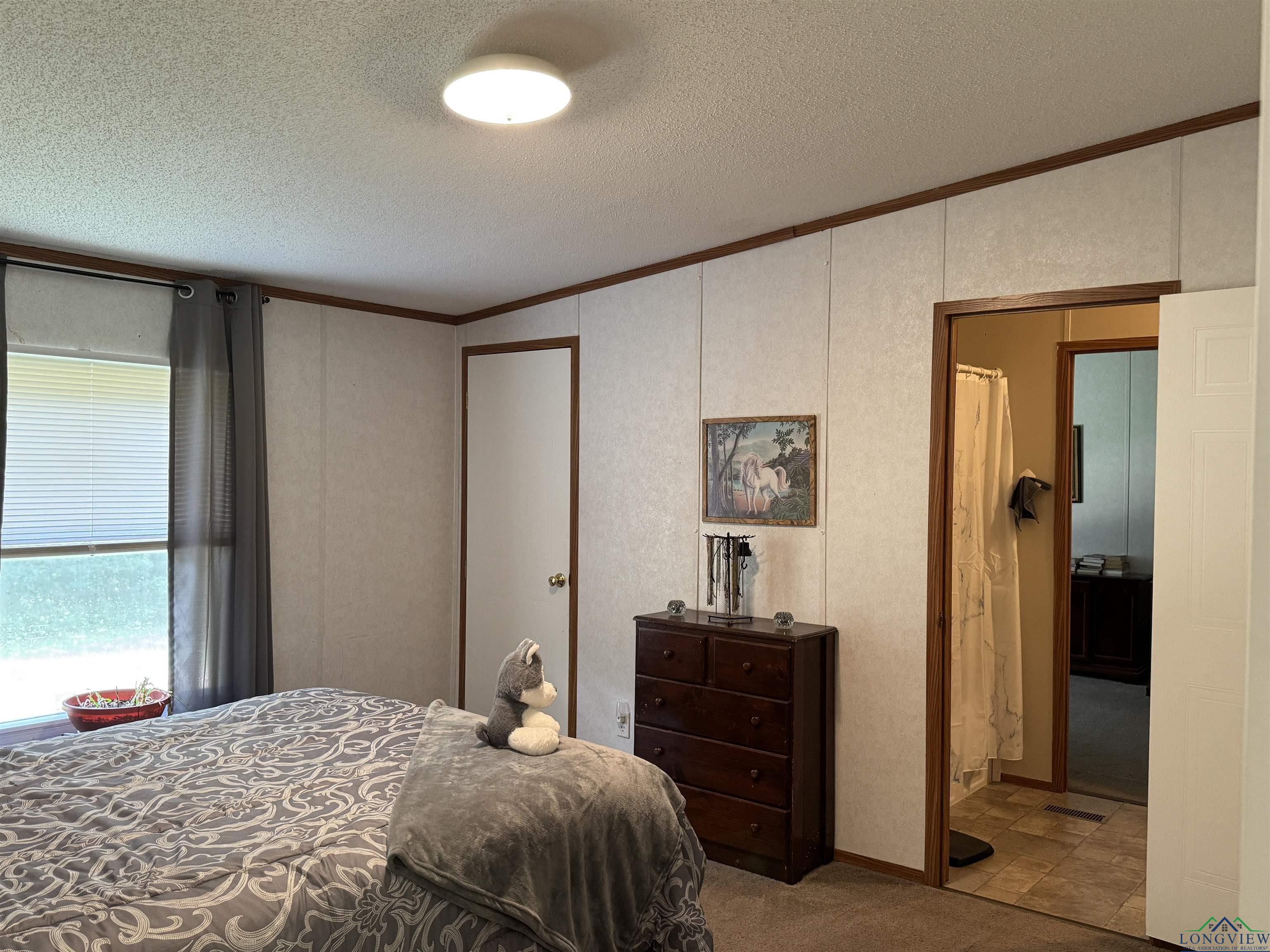 299 Pr 1128, Marshall, Texas image 21