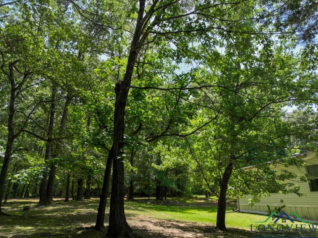 299 Pr 1128, Marshall, Texas image 48