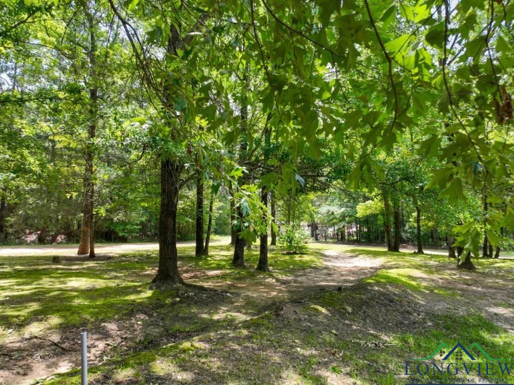 299 Pr 1128, Marshall, Texas image 46