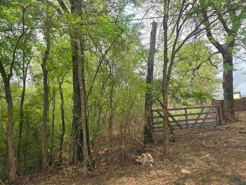 Vacant Land For Sale - 909 N Main Street<br/> Avinger, TX 75563