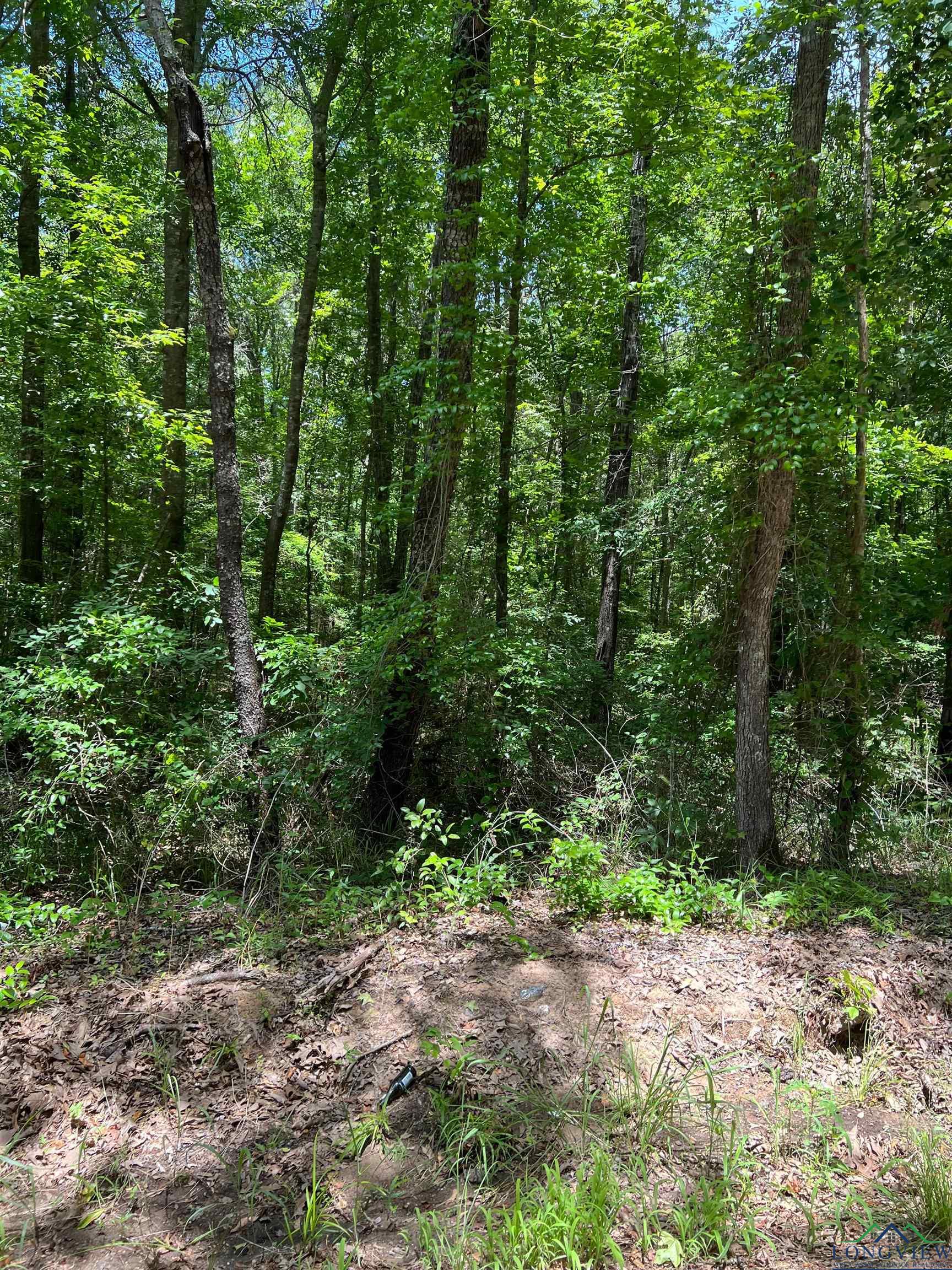 TBD Cr 2670, Mount Pleasant, Texas image 2