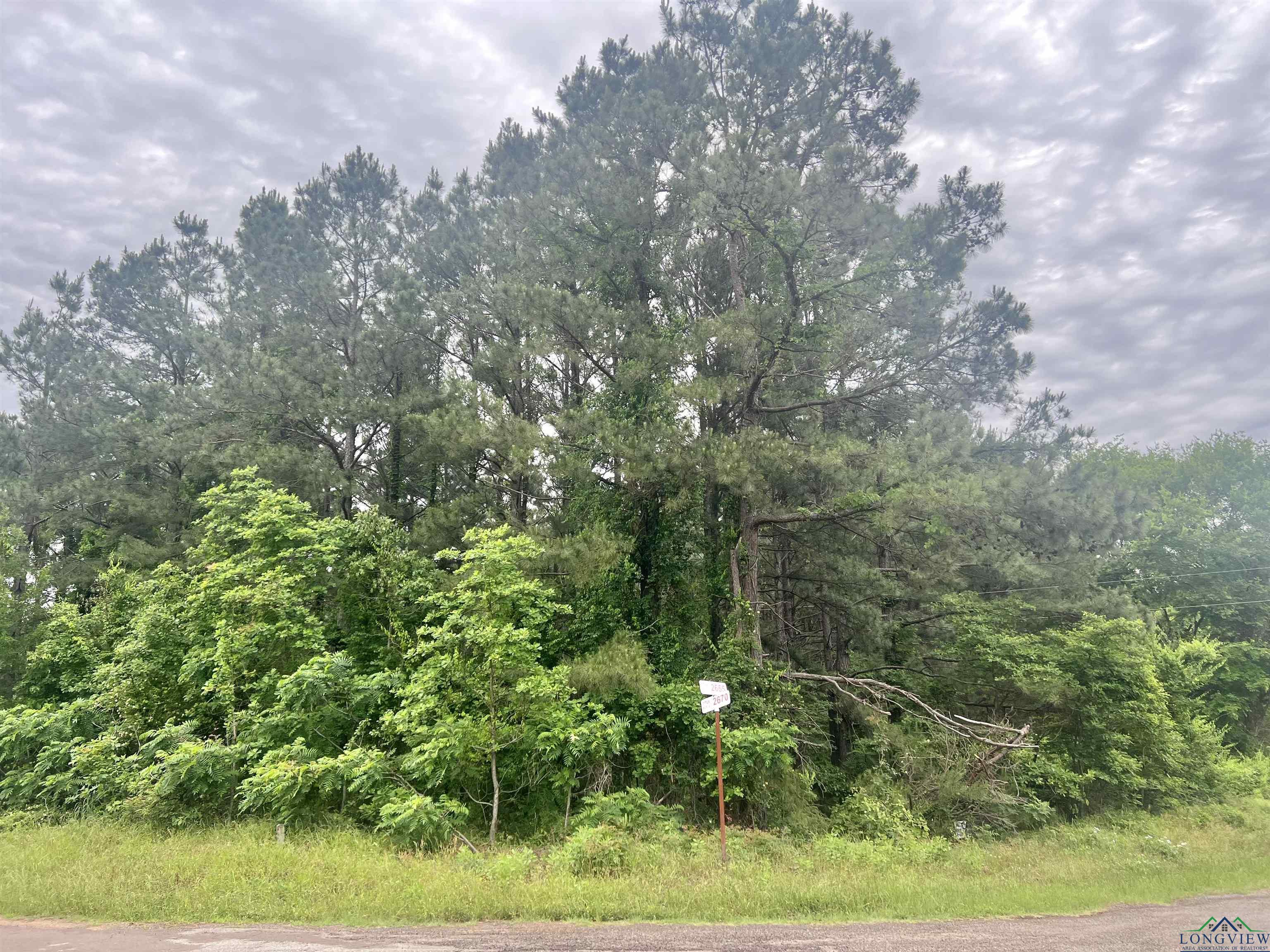 TBD Cr 2670, Mount Pleasant, Texas image 1