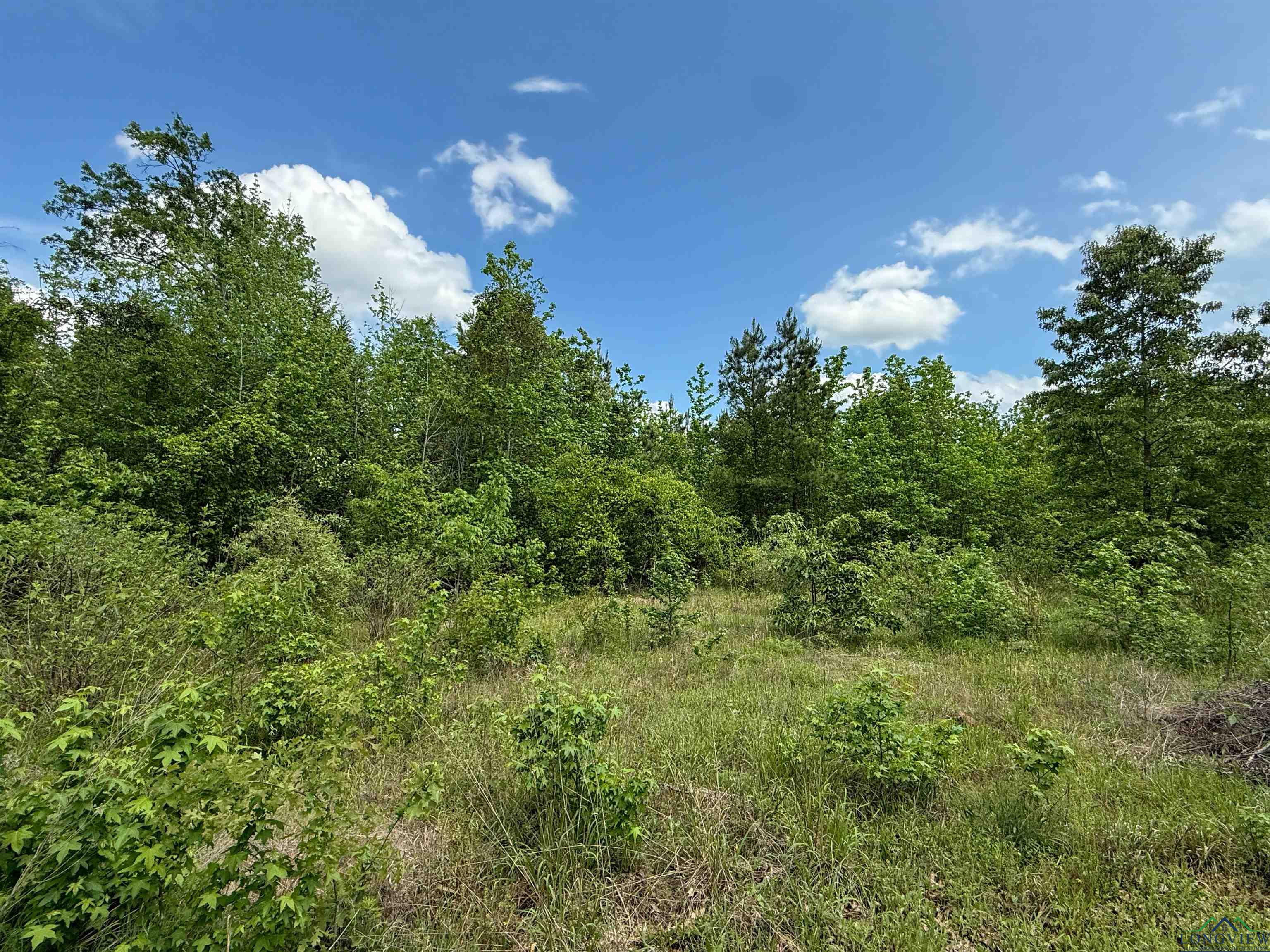 0000 Cr 1349, Linden, Texas image 42