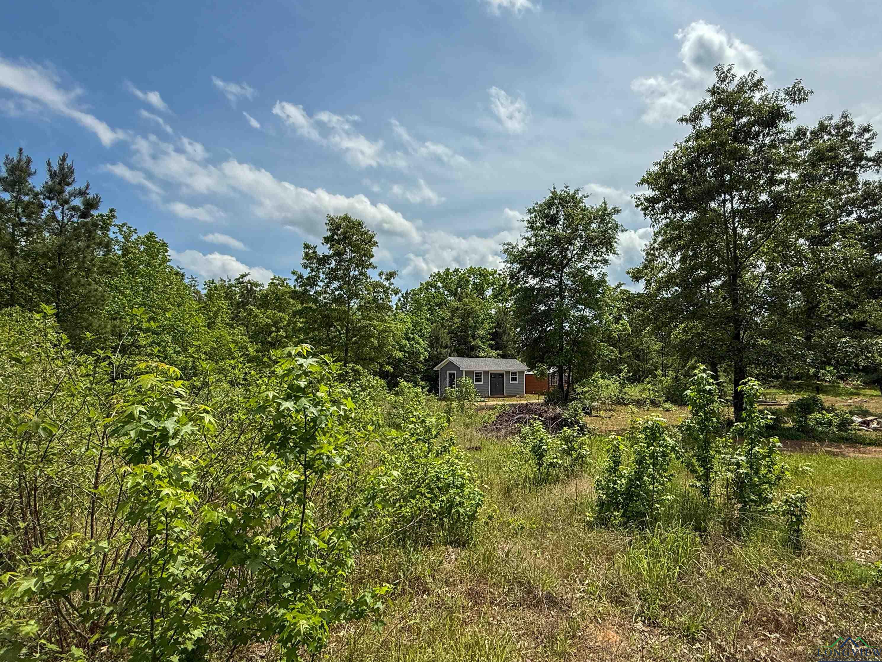 0000 Cr 1349, Linden, Texas image 30