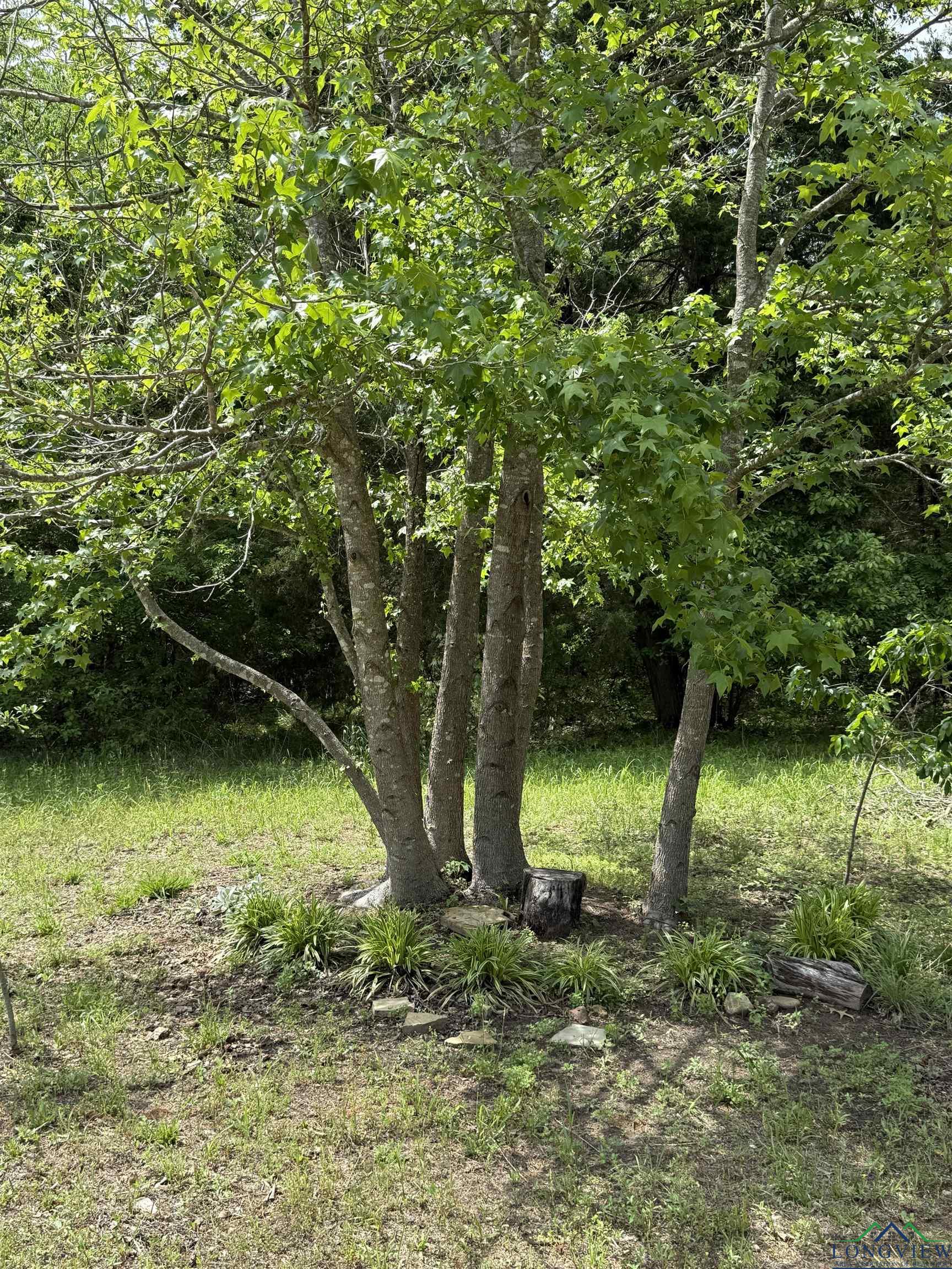 0000 Cr 1349, Linden, Texas image 37