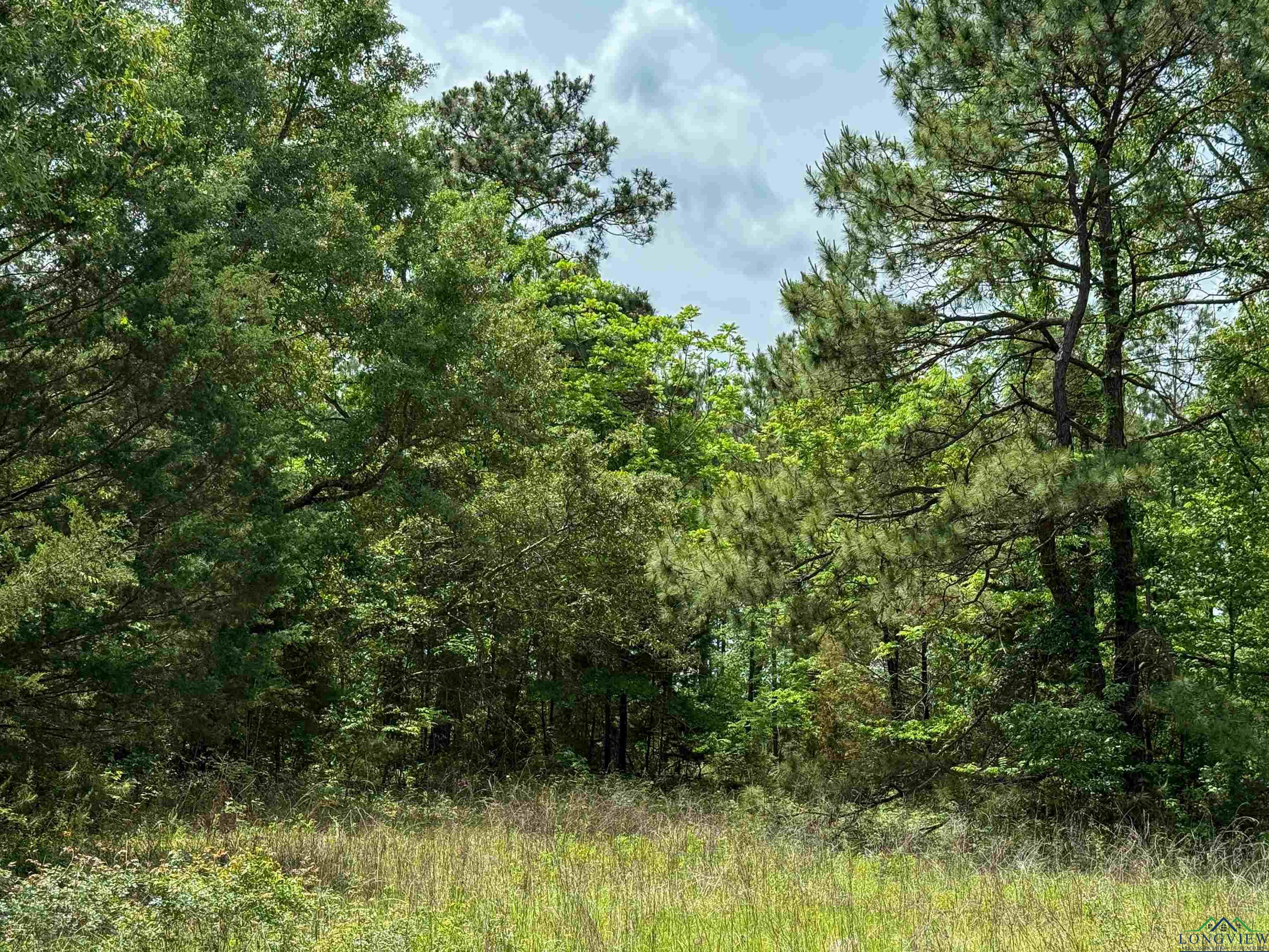 0000 Cr 1349, Linden, Texas image 36