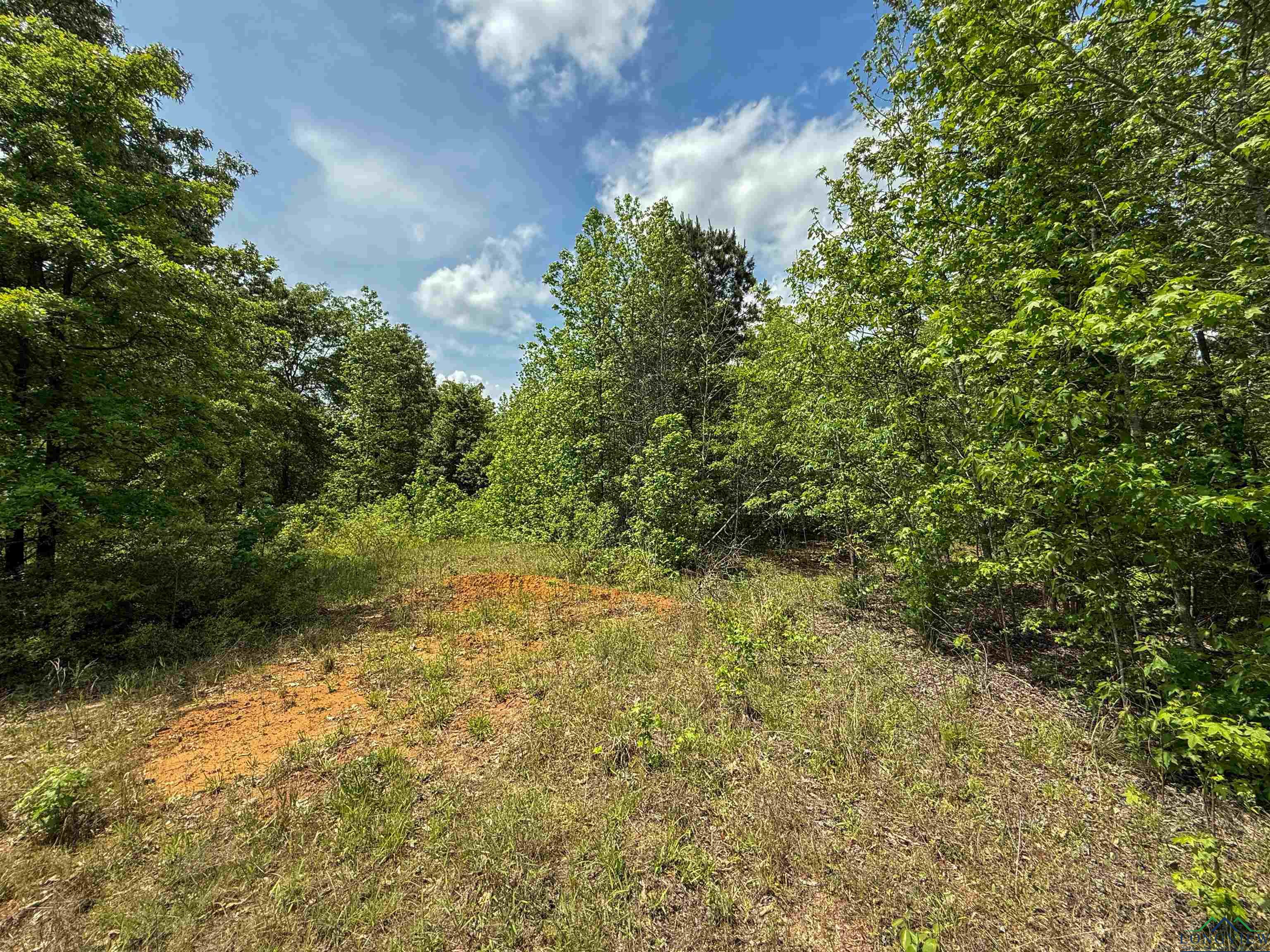 0000 Cr 1349, Linden, Texas image 39