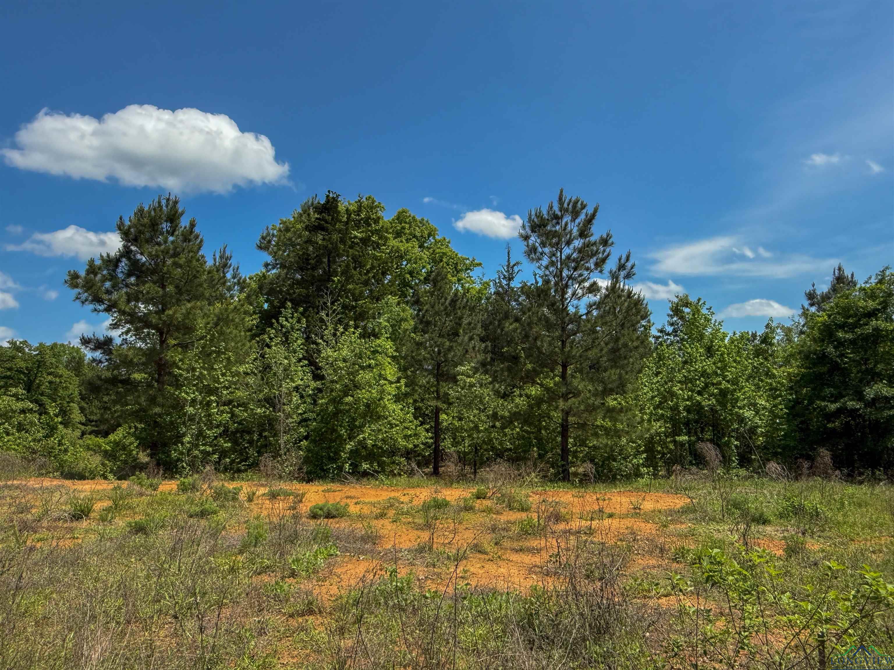 0000 Cr 1349, Linden, Texas image 33
