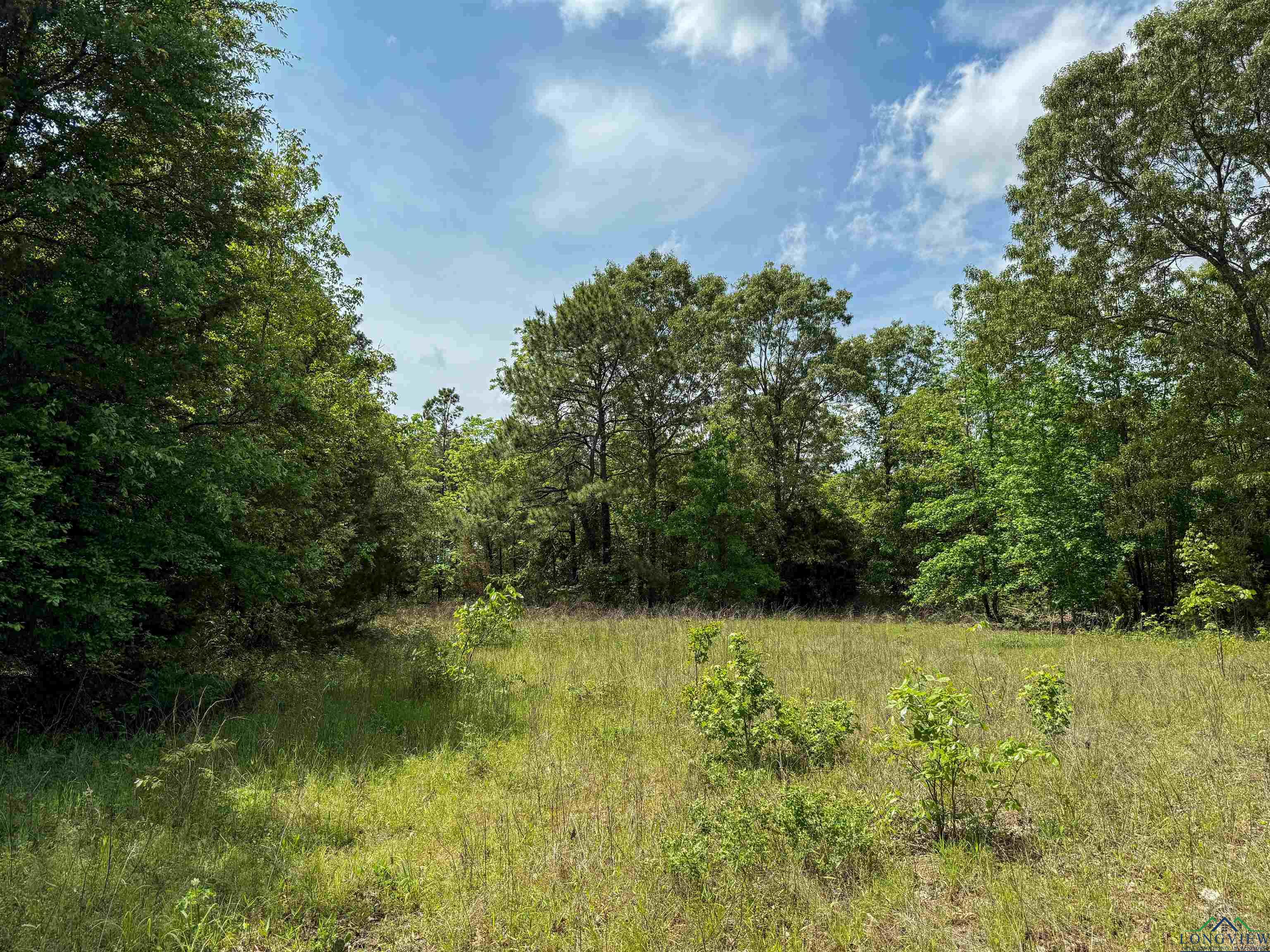 0000 Cr 1349, Linden, Texas image 35