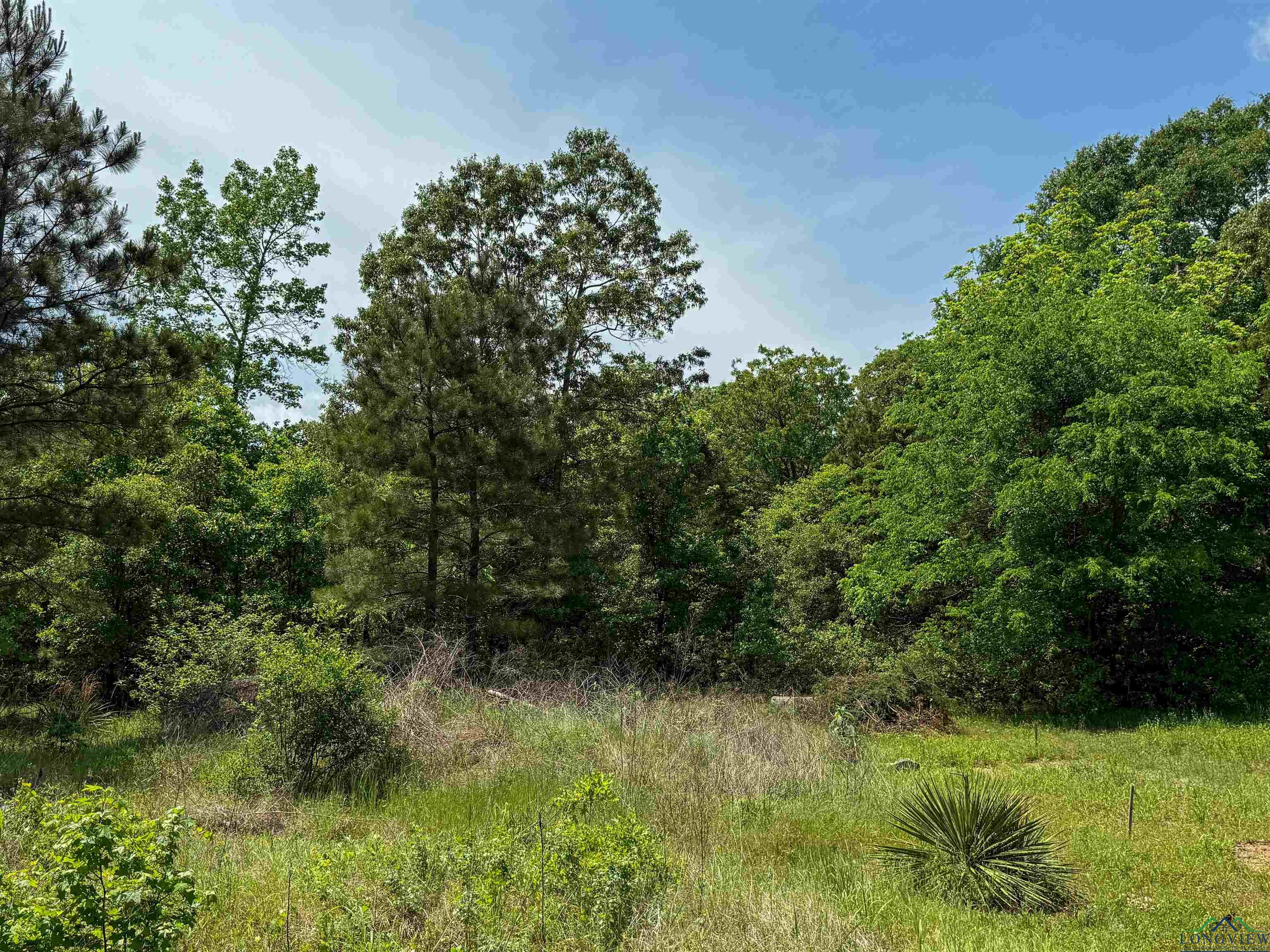 0000 Cr 1349, Linden, Texas image 34