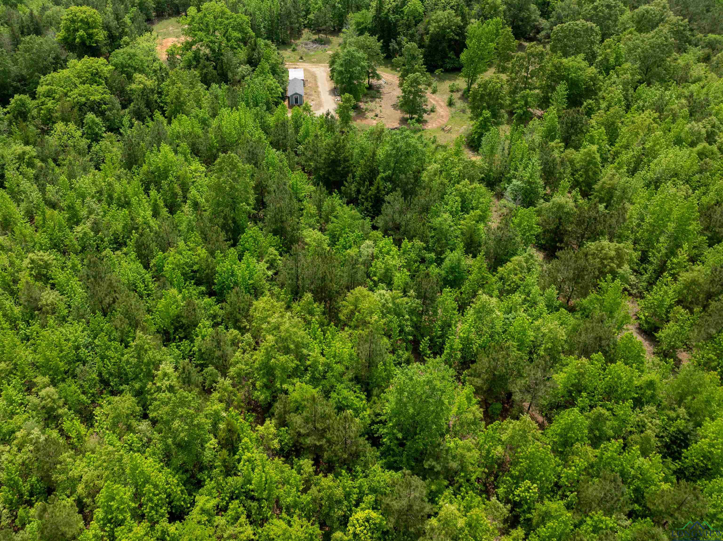 0000 Cr 1349, Linden, Texas image 12