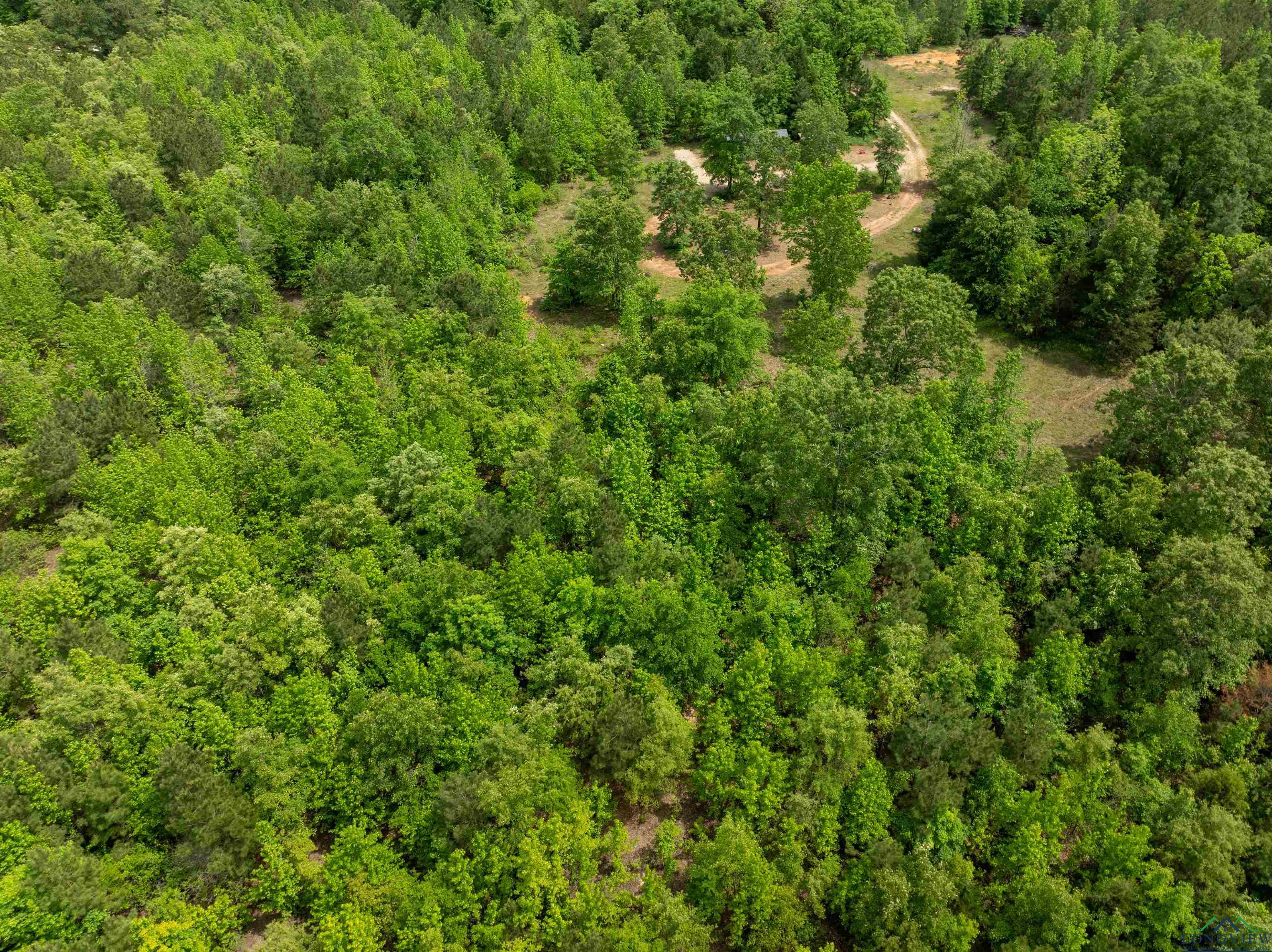 0000 Cr 1349, Linden, Texas image 11