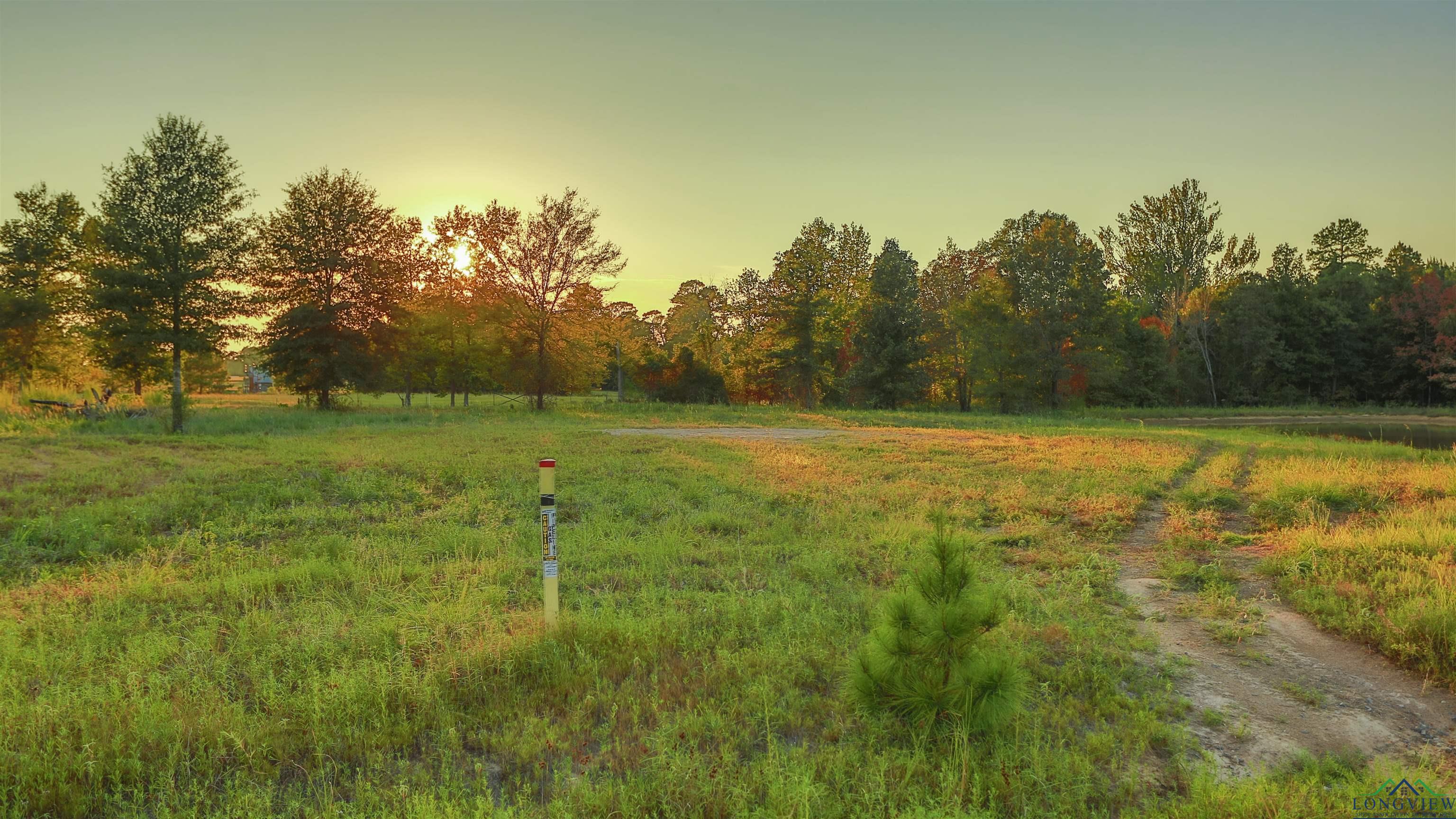 156 Majestic Oaks, De Berry, Texas image 1