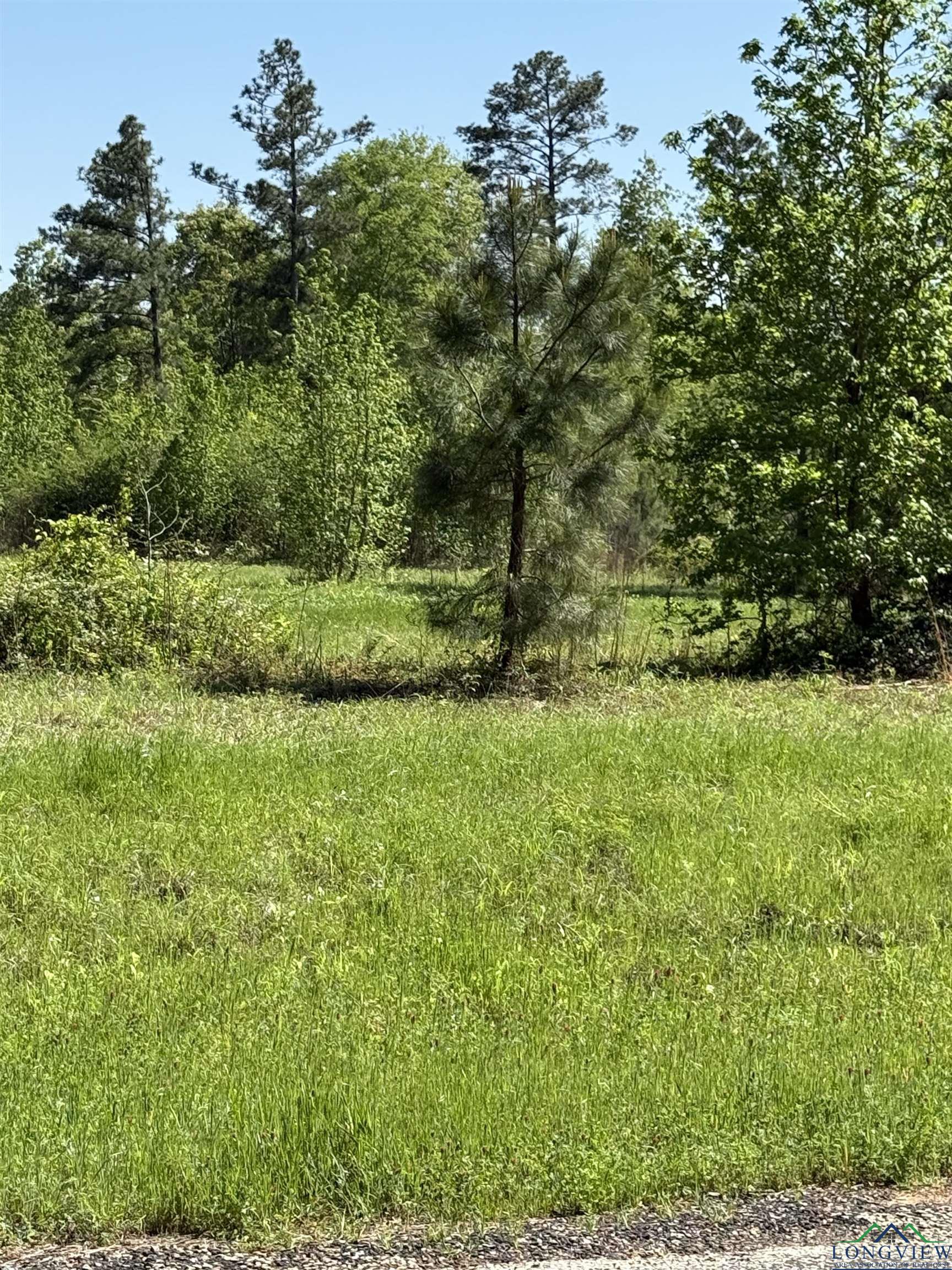 TBD LOT 3 S Fm 839, Henderson, Texas image 2