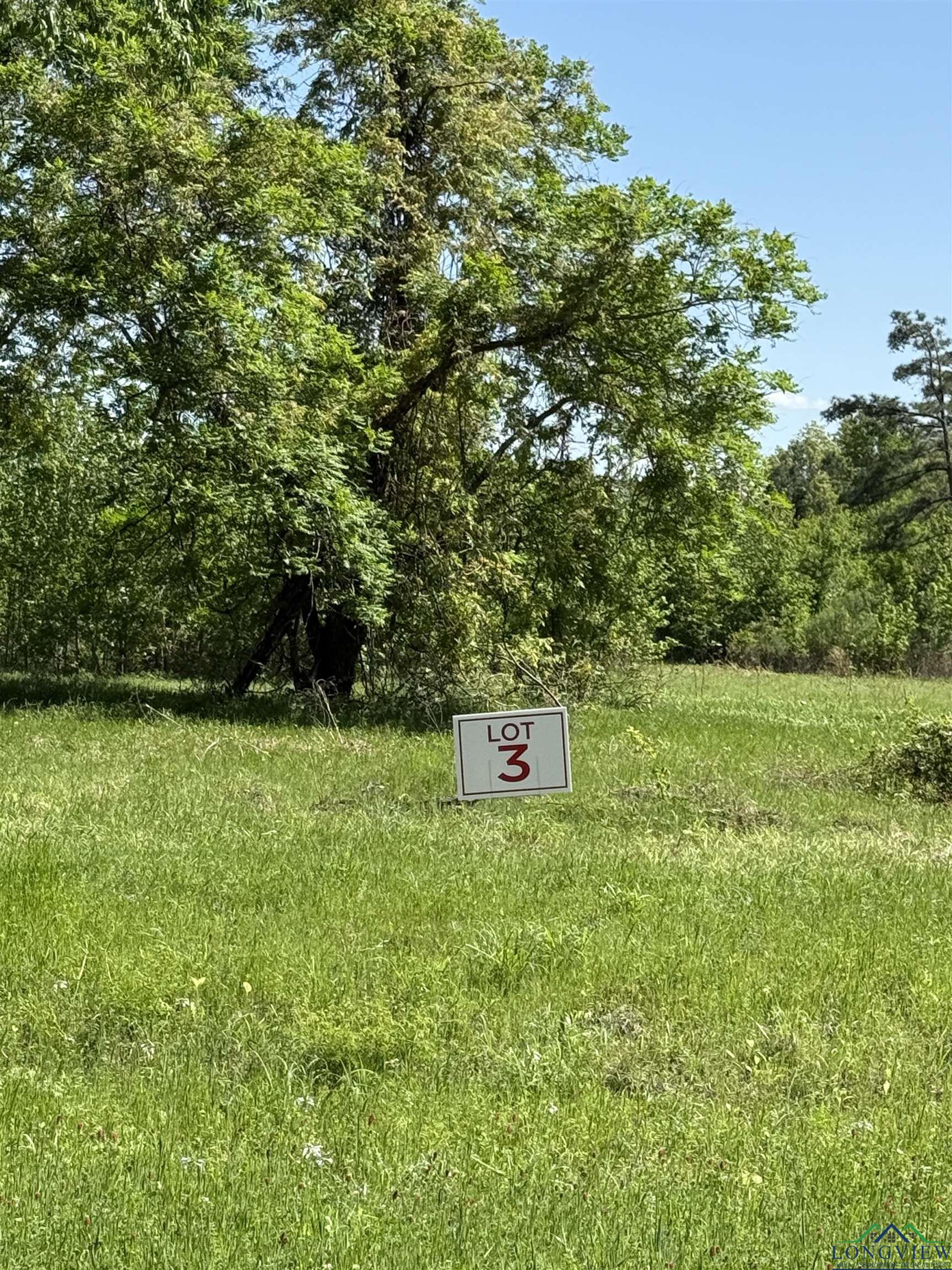 TBD LOT 3 S Fm 839, Henderson, Texas image 1