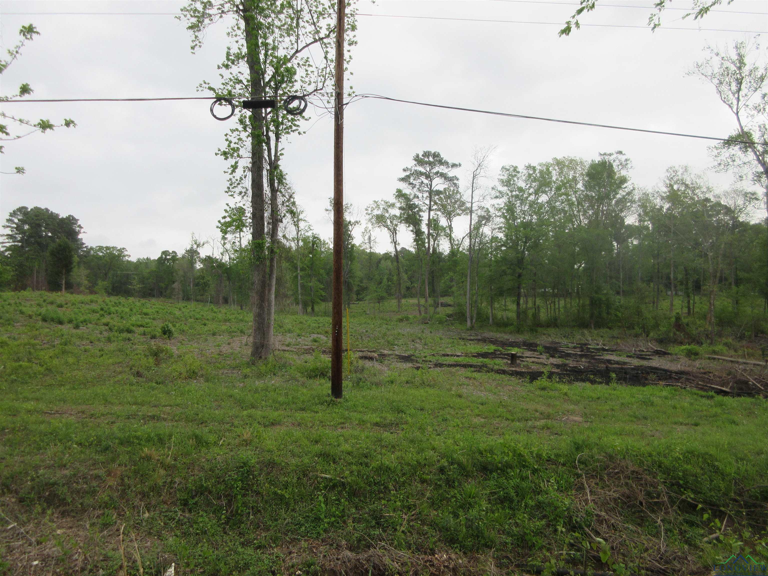 Tbd Sh 149, Longview, Texas image 3