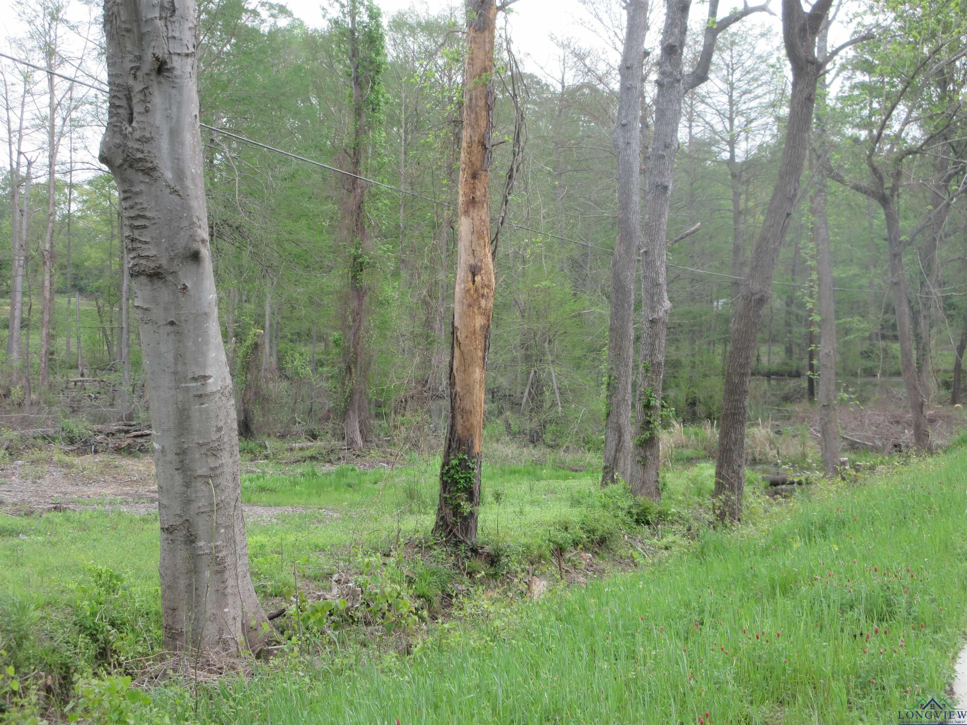 Tbd Sh 149, Longview, Texas image 11