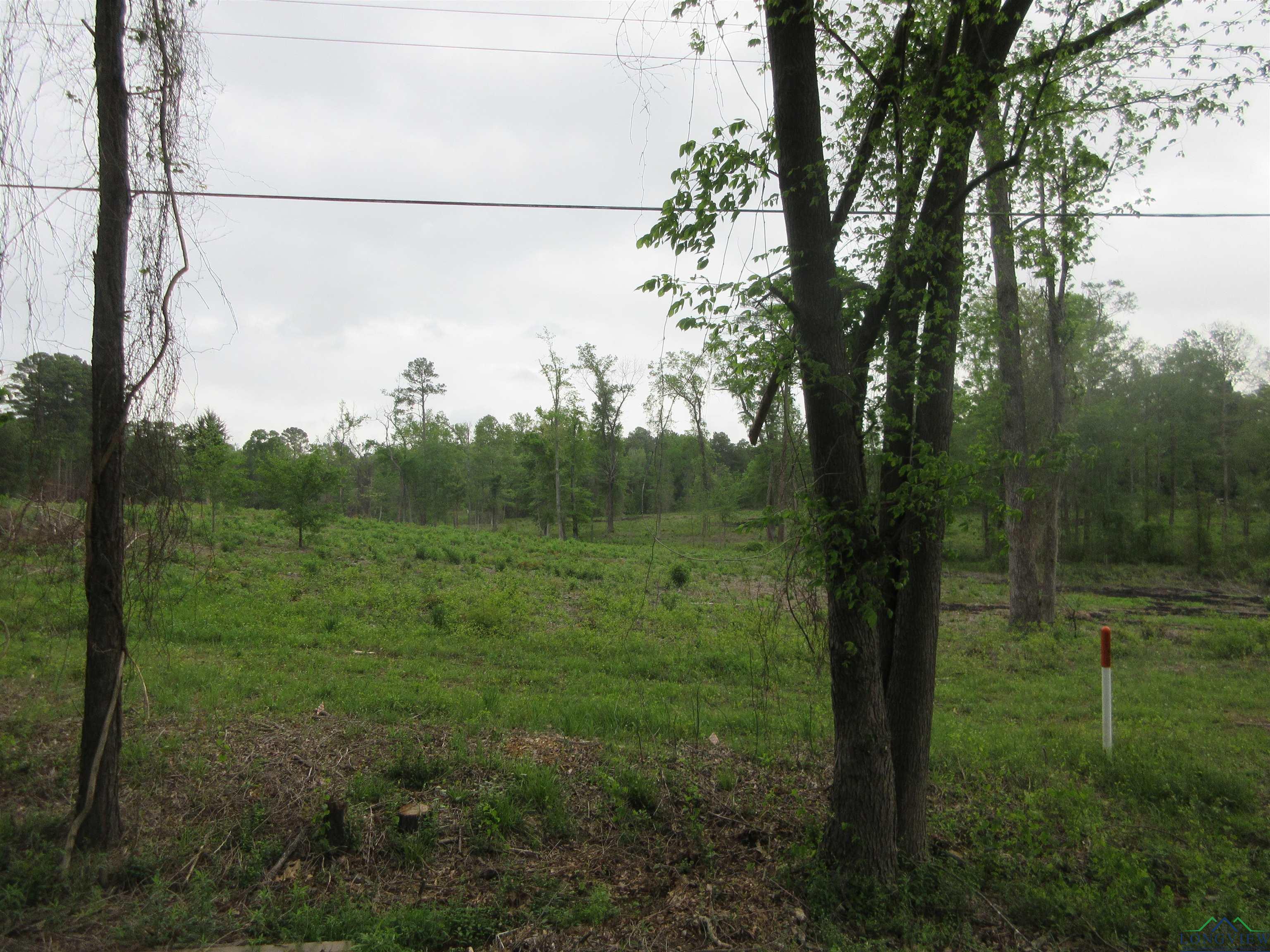 Tbd Sh 149, Longview, Texas image 2