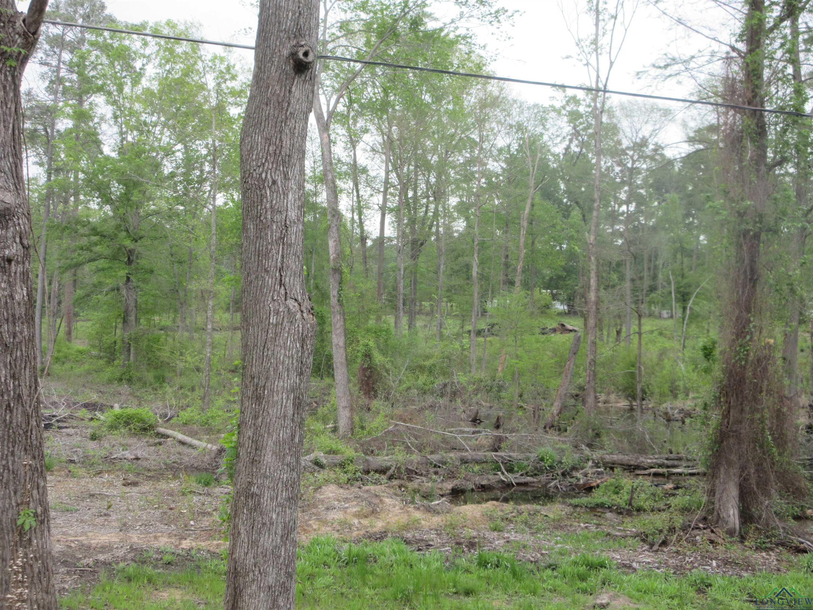 Tbd Sh 149, Longview, Texas image 7