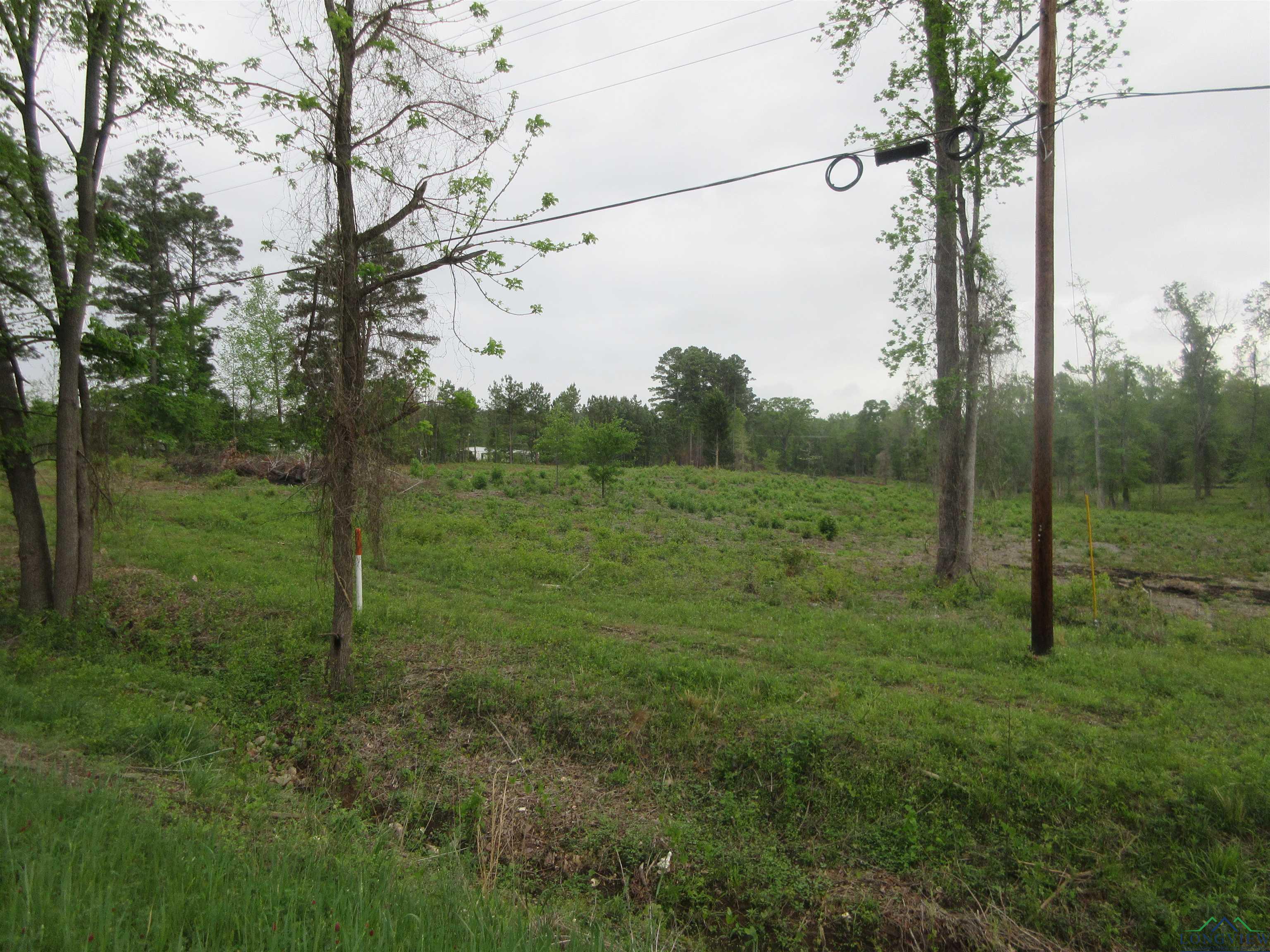 Tbd Sh 149, Longview, Texas image 4
