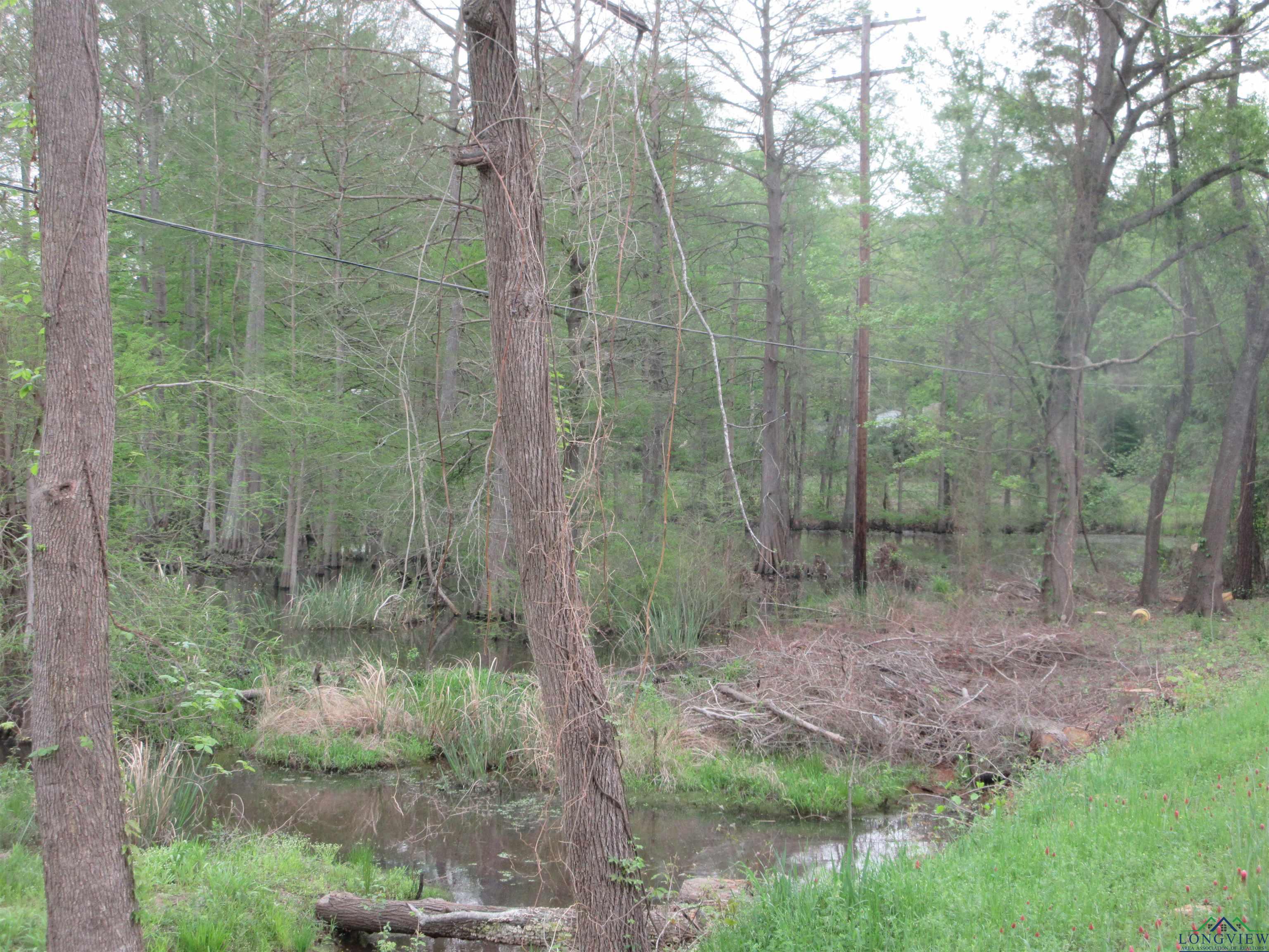 Tbd Sh 149, Longview, Texas image 6