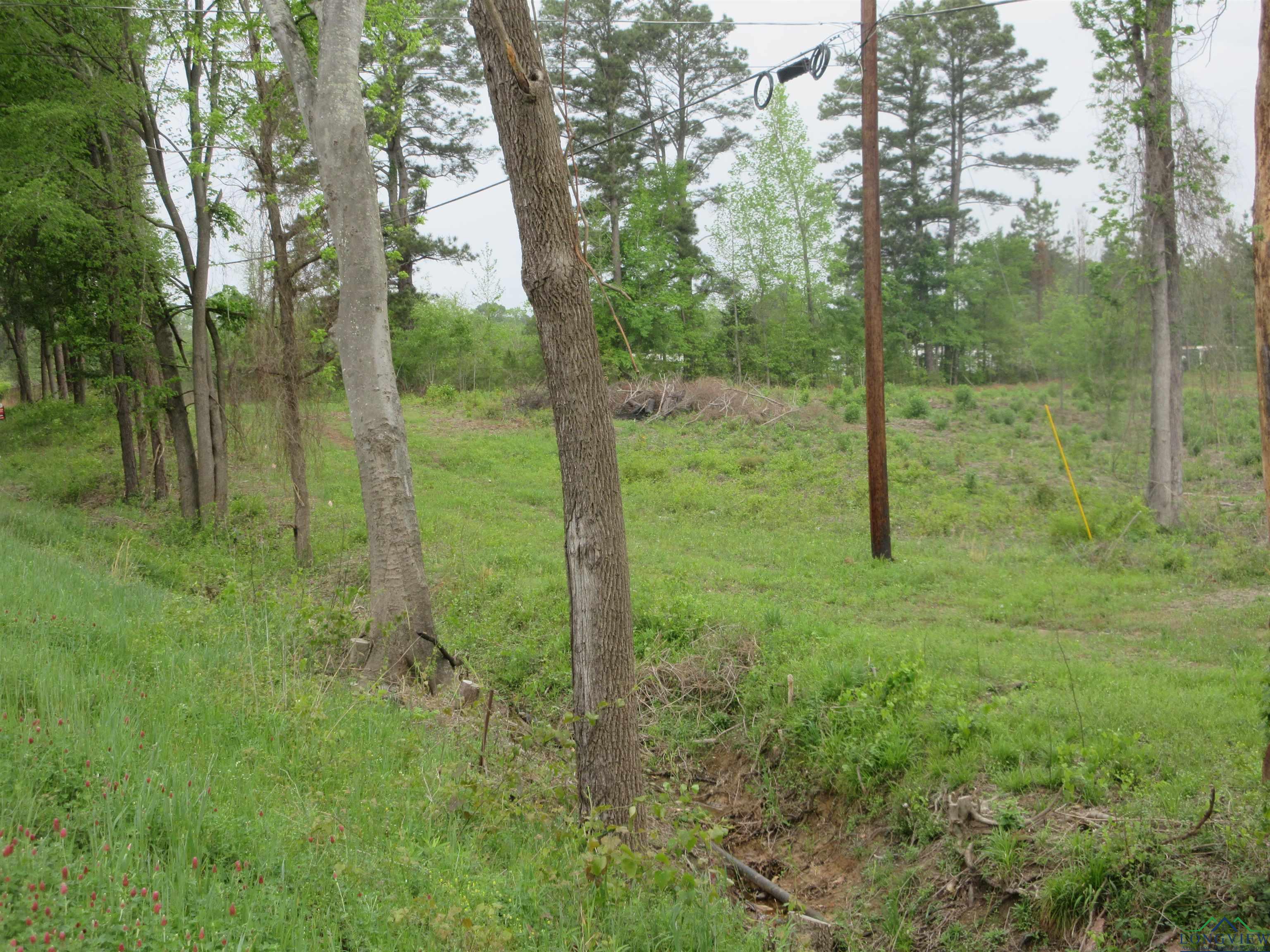 Tbd Sh 149, Longview, Texas image 9