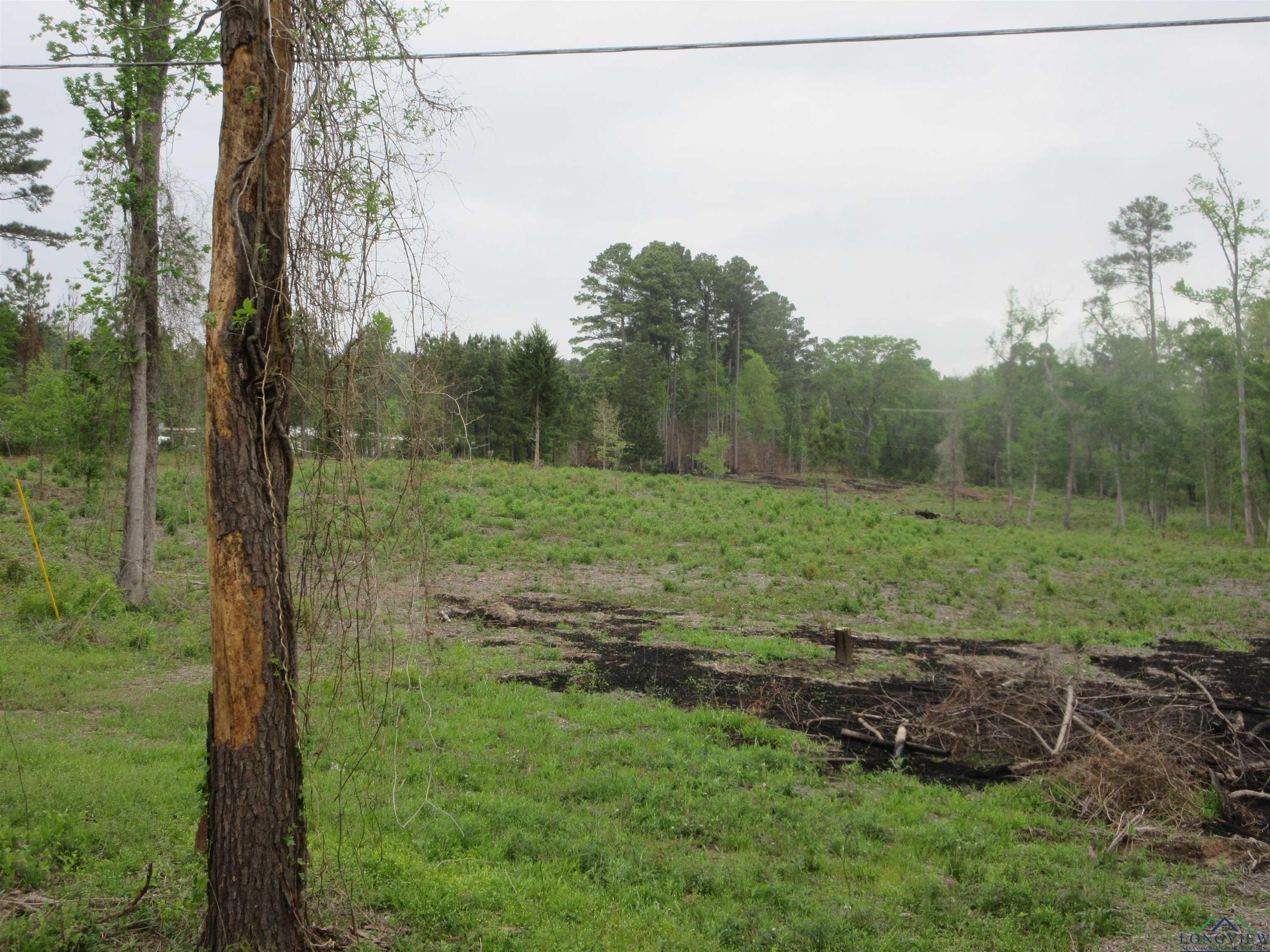 Tbd Sh 149, Longview, Texas image 8