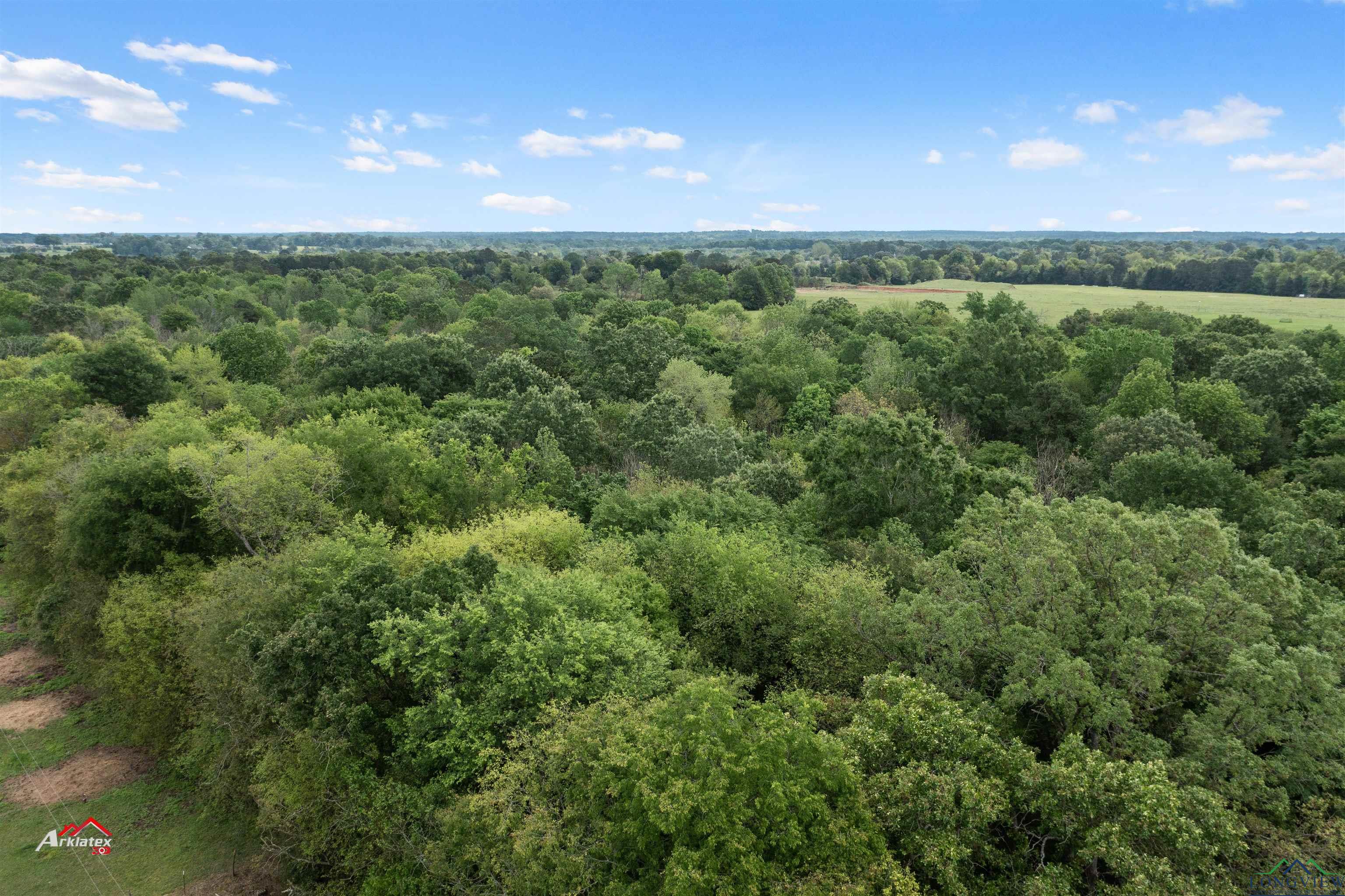 TBD Cr 246, Beckville, Texas image 1