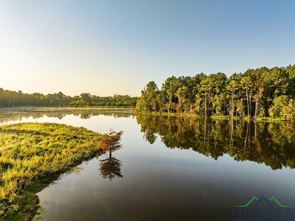 Lot 19 Fm 2015, Tyler, Texas image 14