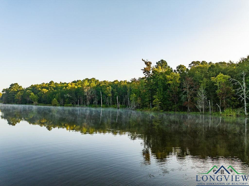 Lot 19 Fm 2015, Tyler, Texas image 13