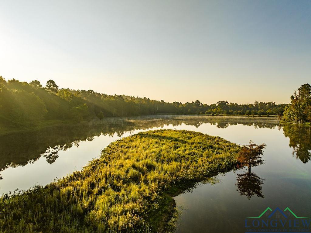 Lot 19 Fm 2015, Tyler, Texas image 10