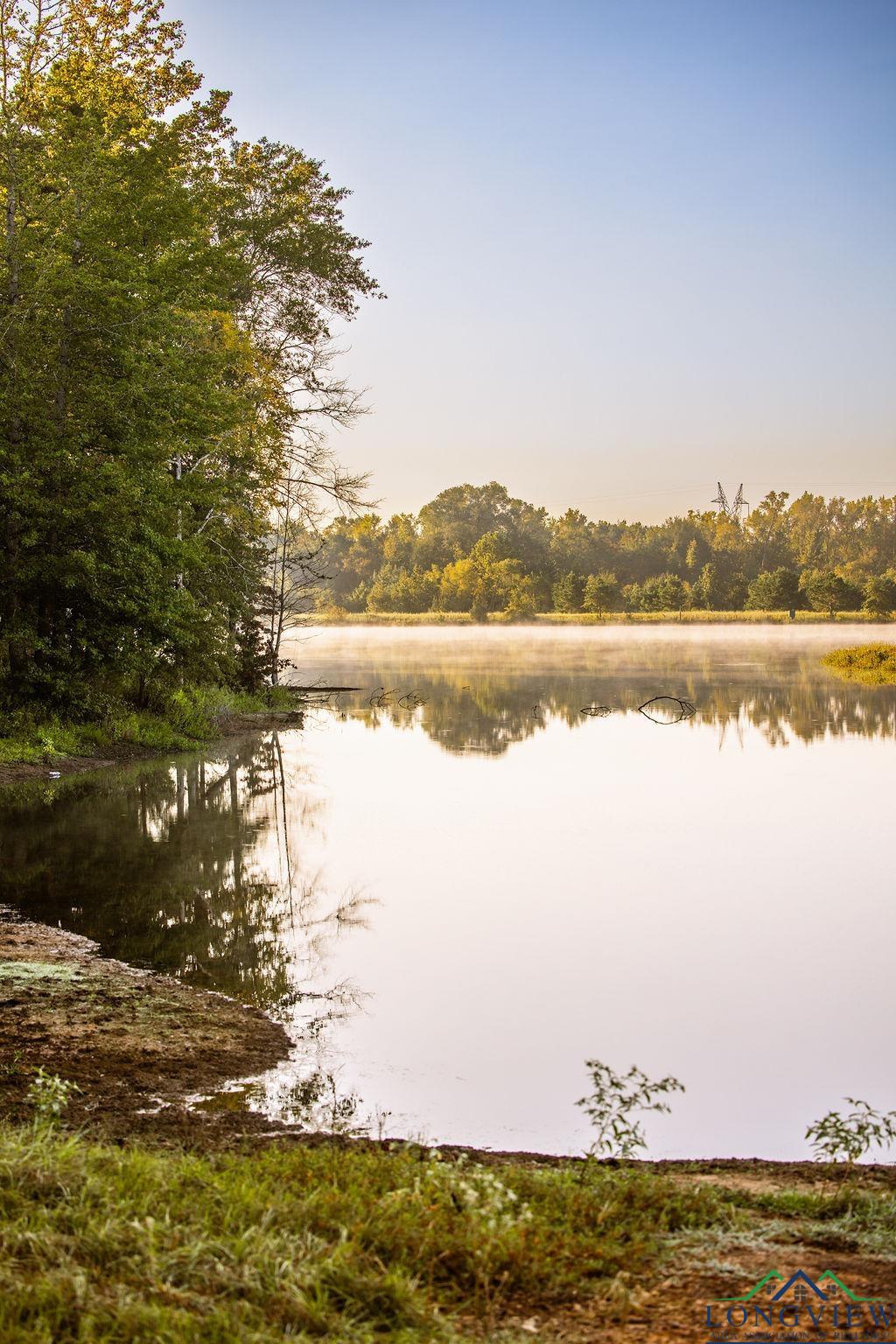 Lot 19 Fm 2015, Tyler, Texas image 4