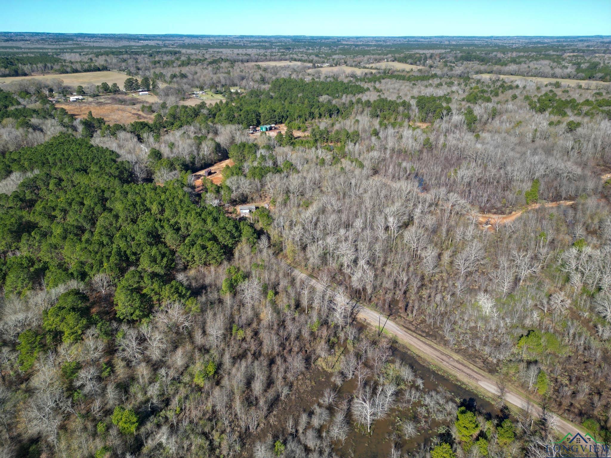 12966 W Cr 477, Henderson, Texas image 3