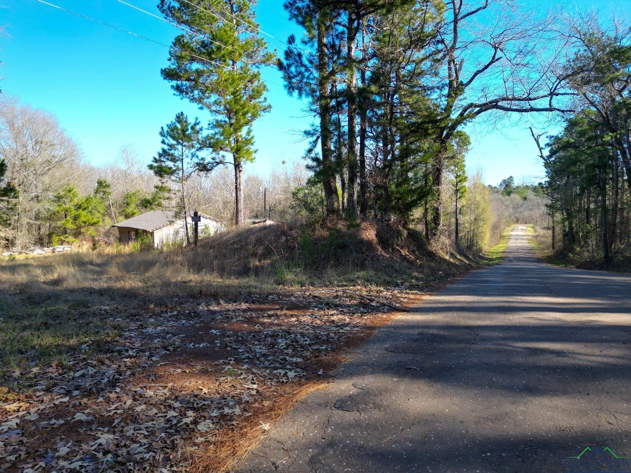 12966 W Cr 477, Henderson, Texas image 13