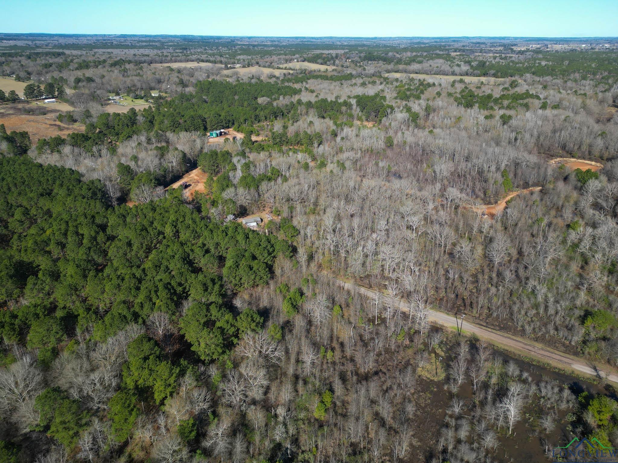 12966 W Cr 477, Henderson, Texas image 2