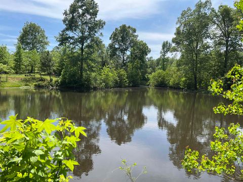 Vacant Land For Sale - 4735 Fm 1971<br/> Panola County, Timpson, TX 75975