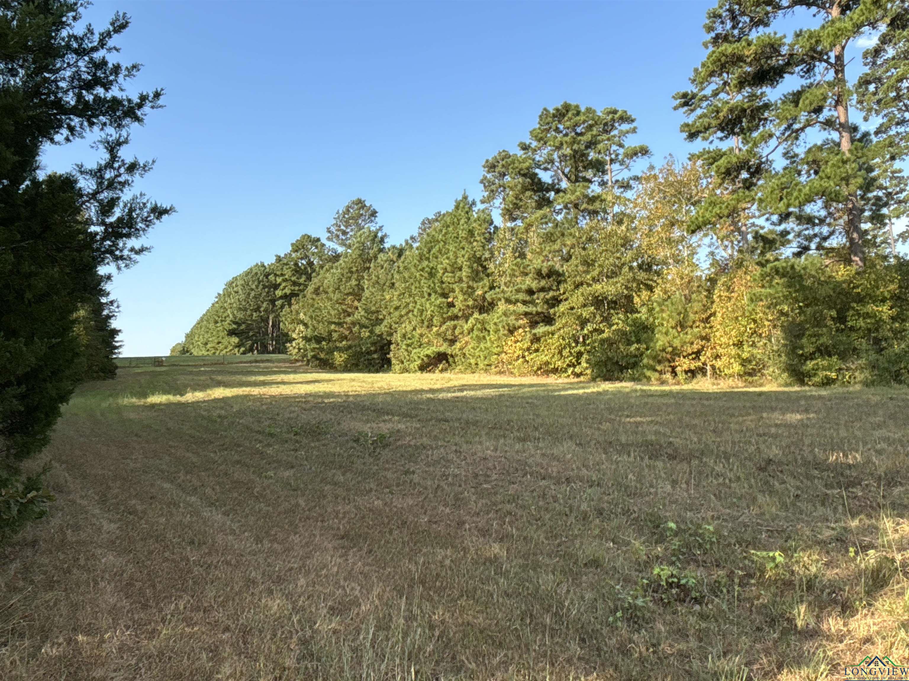 TBD Tx Hwy 43, Bivins, Texas image 9