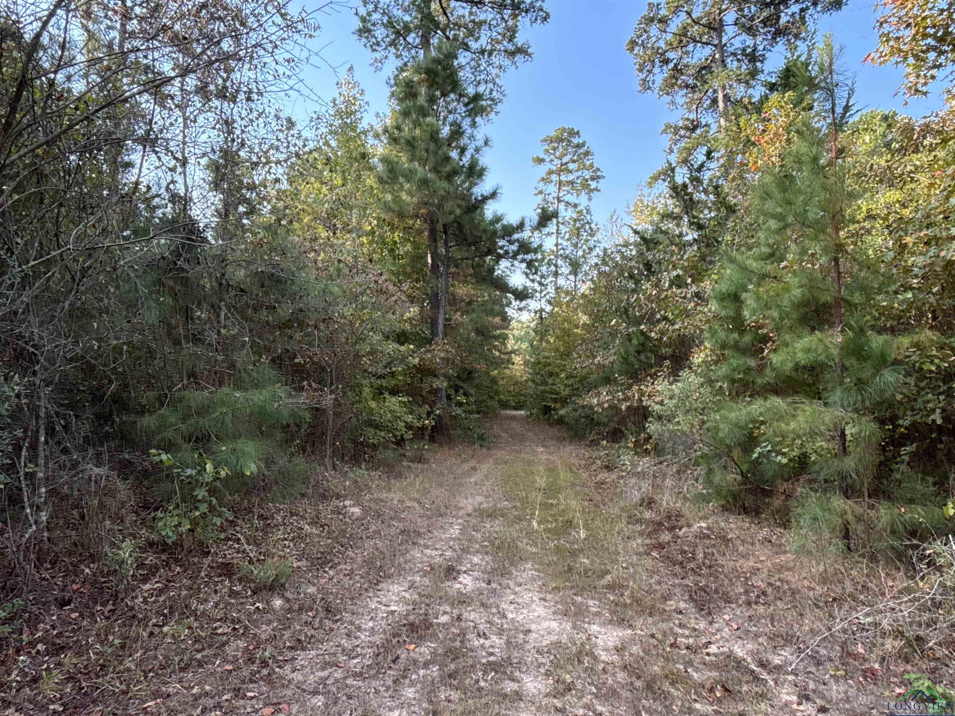 TBD Tx Hwy 43, Bivins, Texas image 10