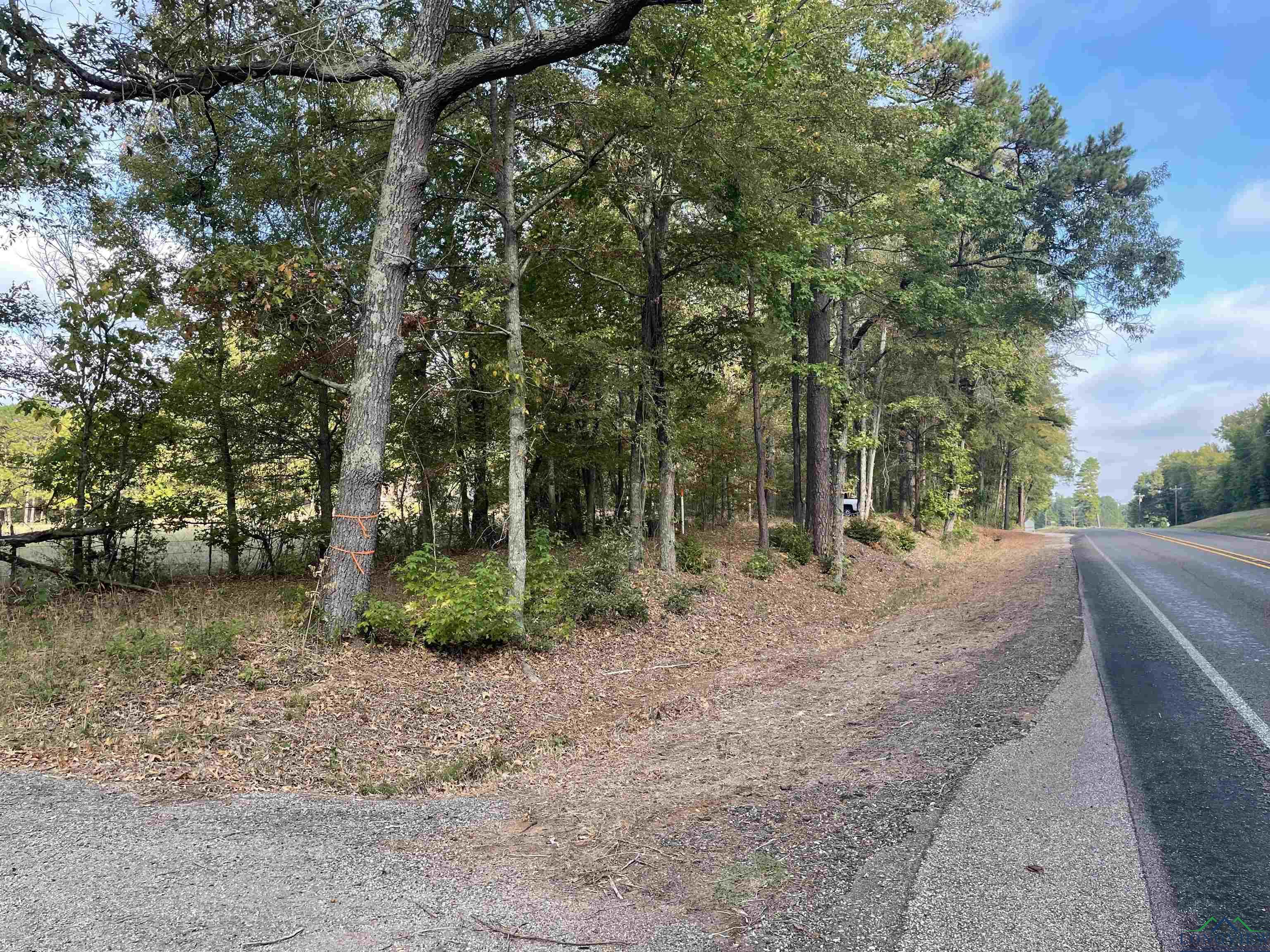 TBD State Highway 110 (2), Jacksonville, Texas image 6