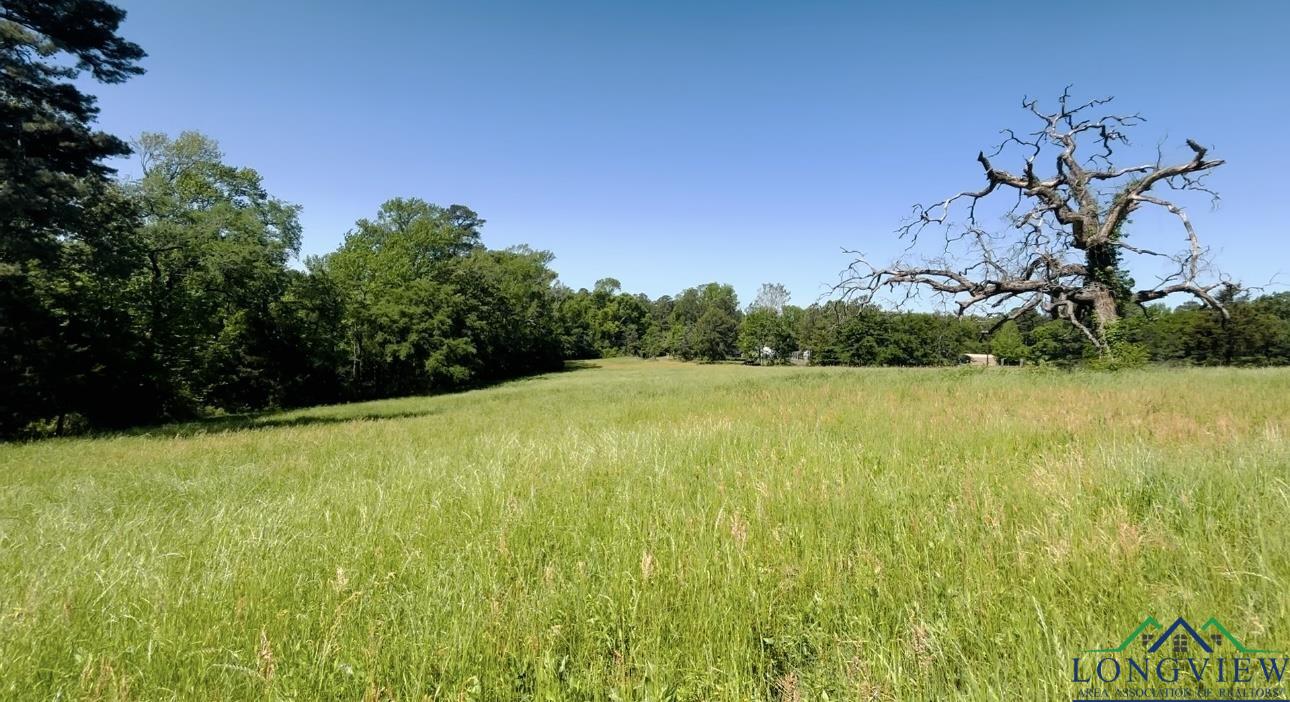 170 Stegall Rd, Big Sandy, Texas image 9