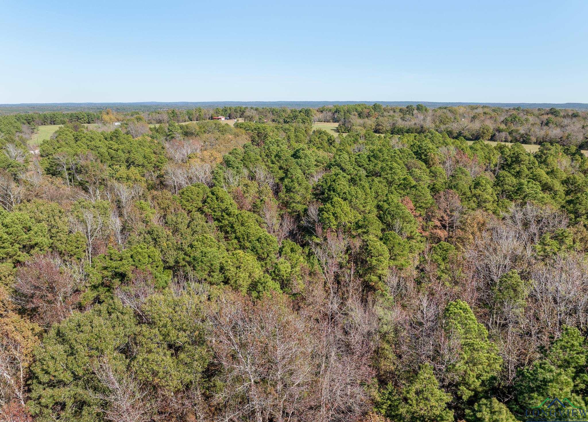 TBD Cr 3270, Quitman, Texas image 5