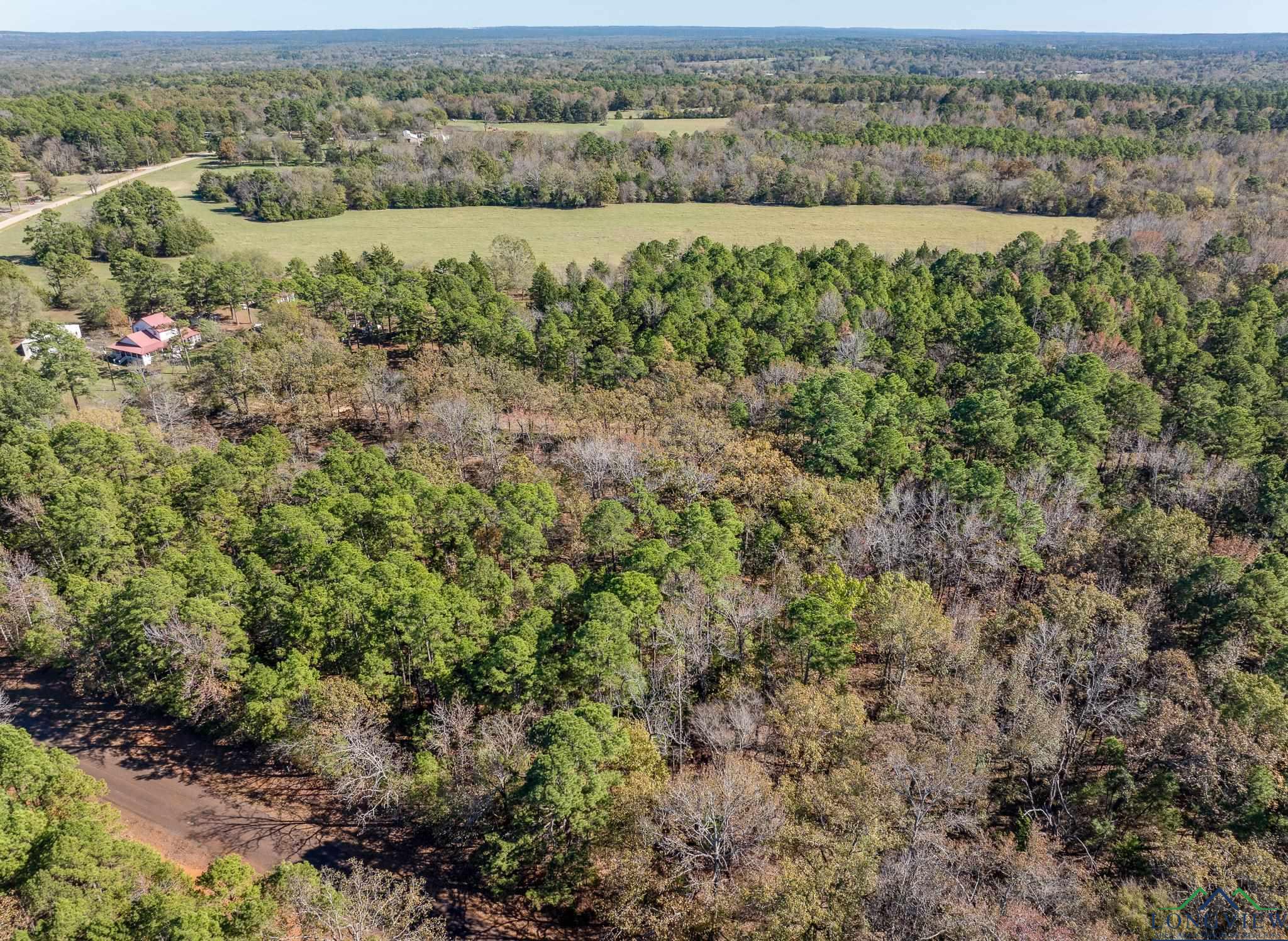 TBD Cr 3270, Quitman, Texas image 2