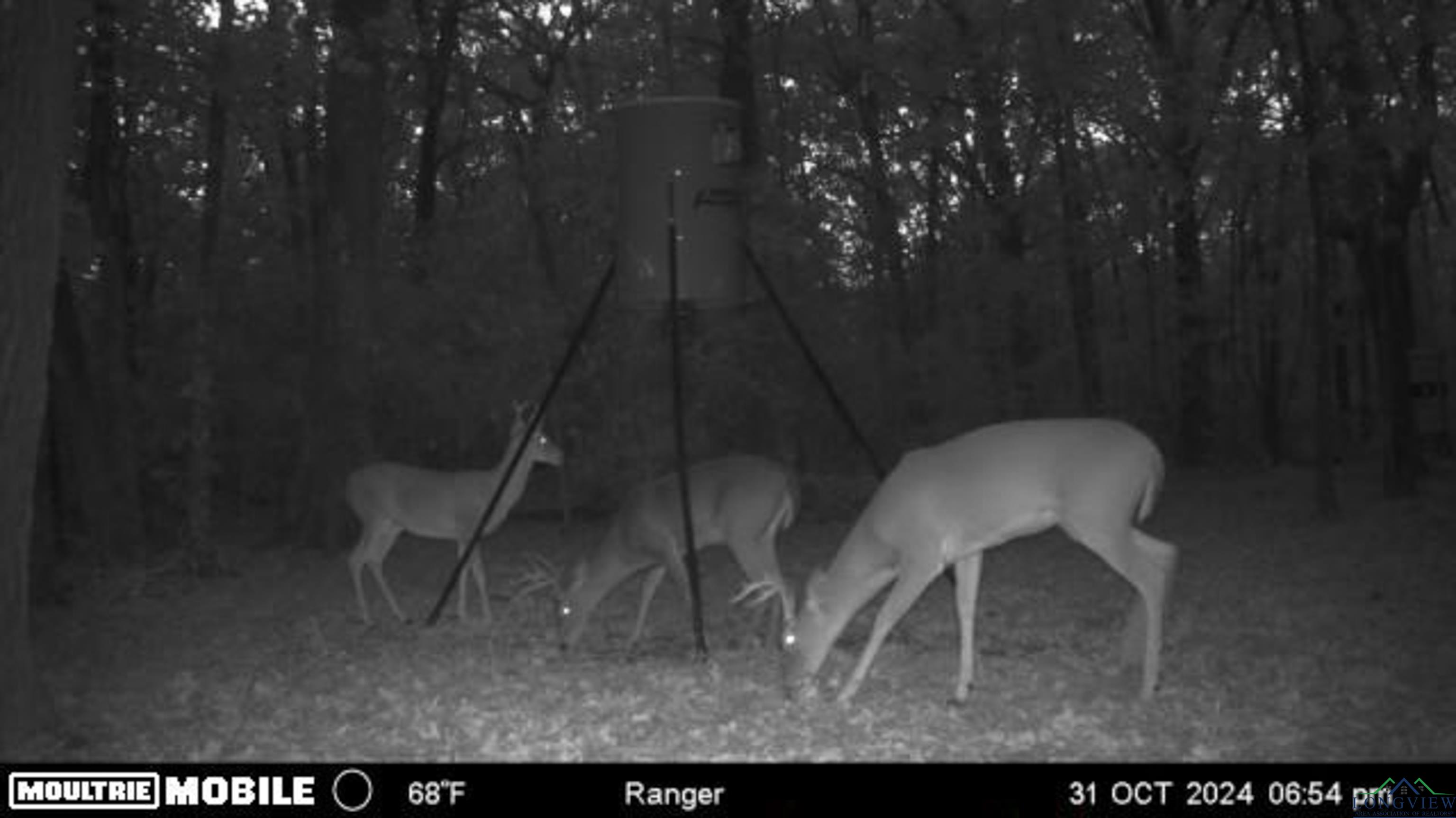 4784 196, Bogata, Ohio image 23