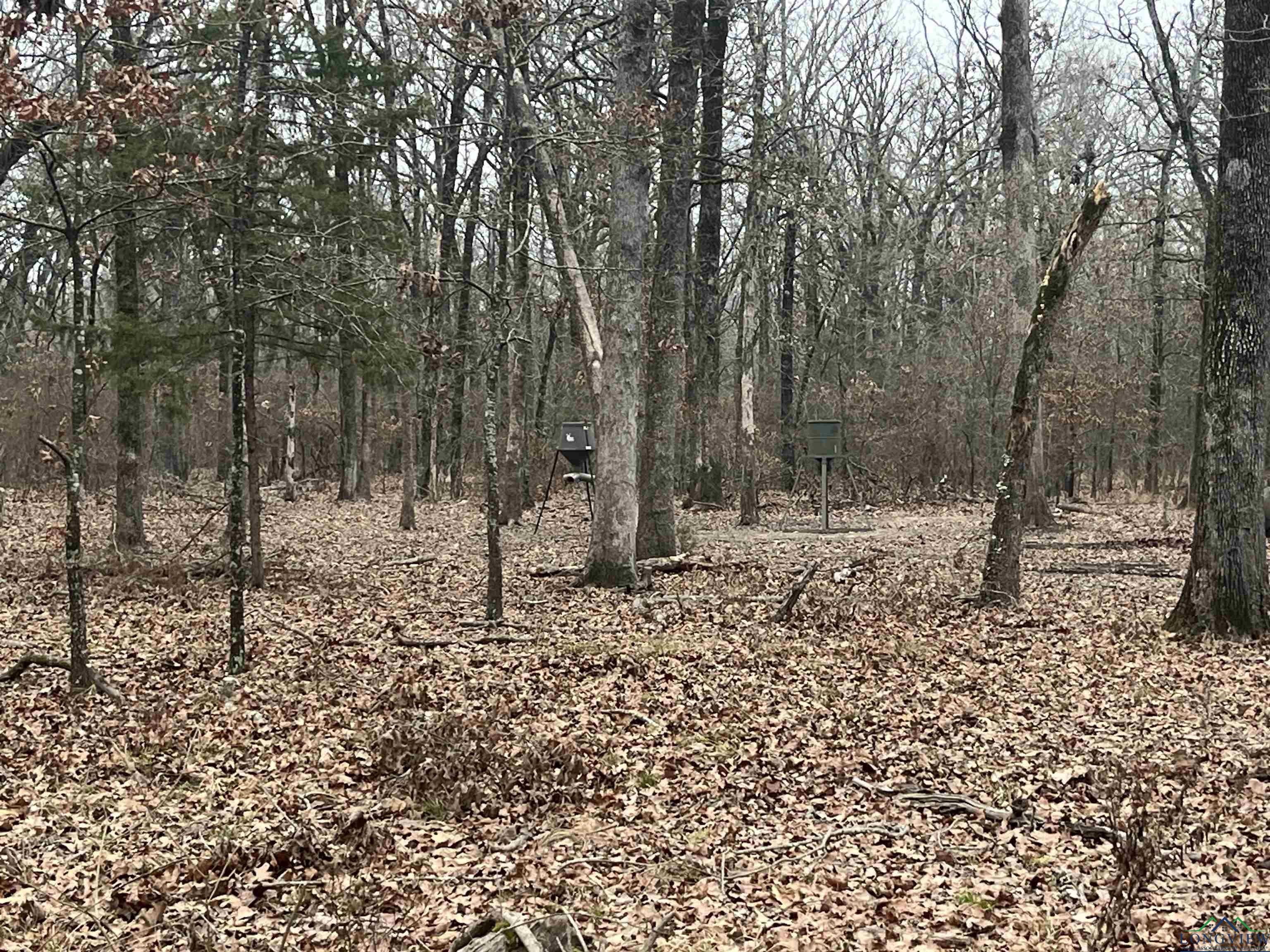 4784 196, Bogata, Ohio image 32