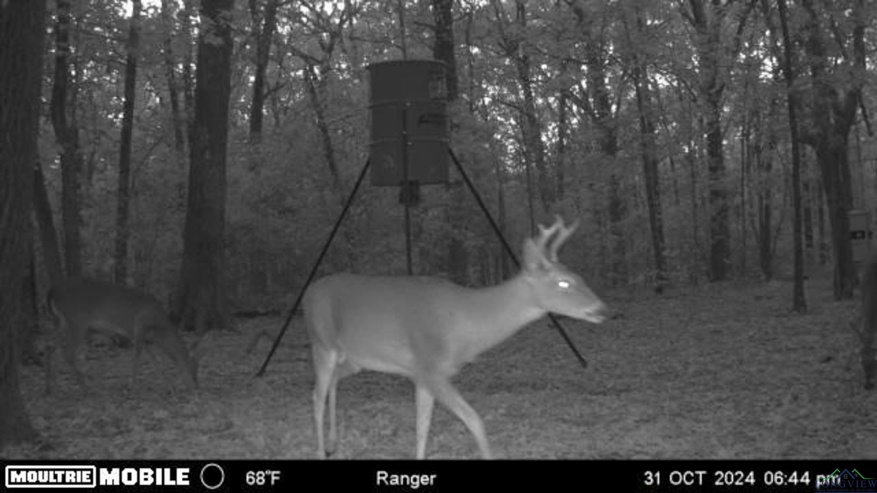 4784 196, Bogata, Ohio image 22