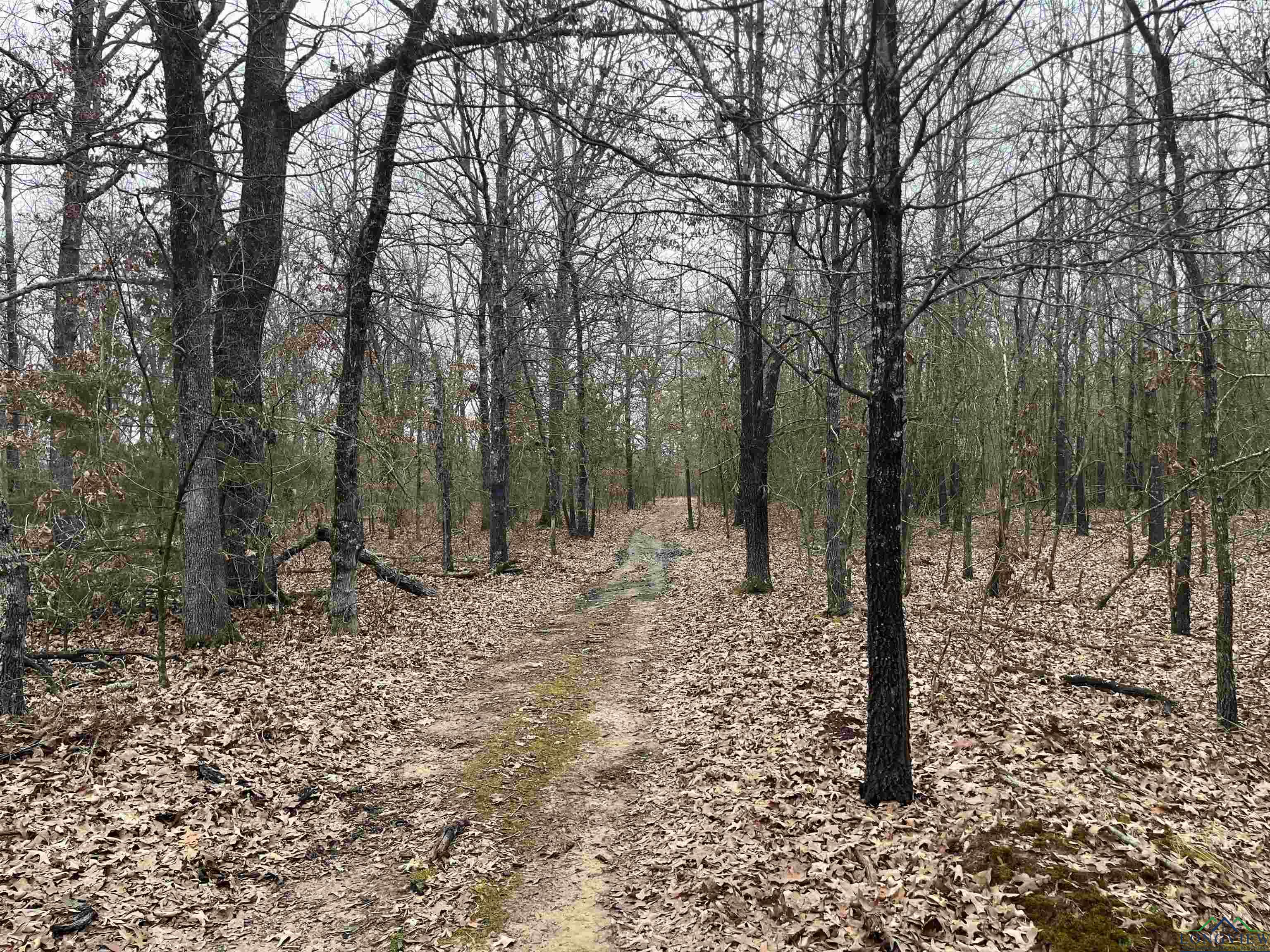 4784 196, Bogata, Ohio image 29