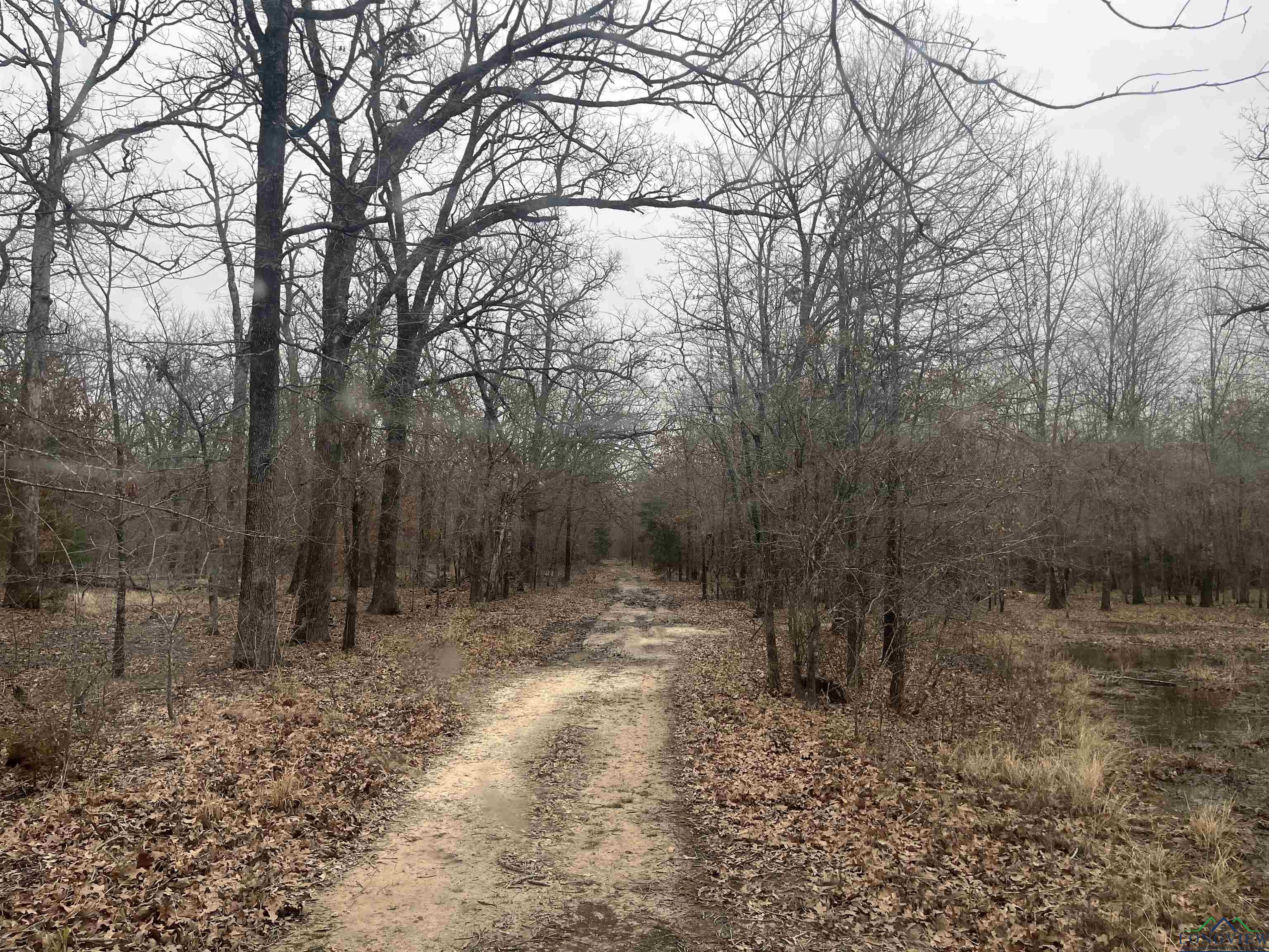 4784 196, Bogata, Ohio image 34