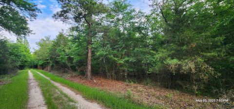 Vacant Land For Sale - Cr3230<br/> Red River County, Clarksville, TX 75426