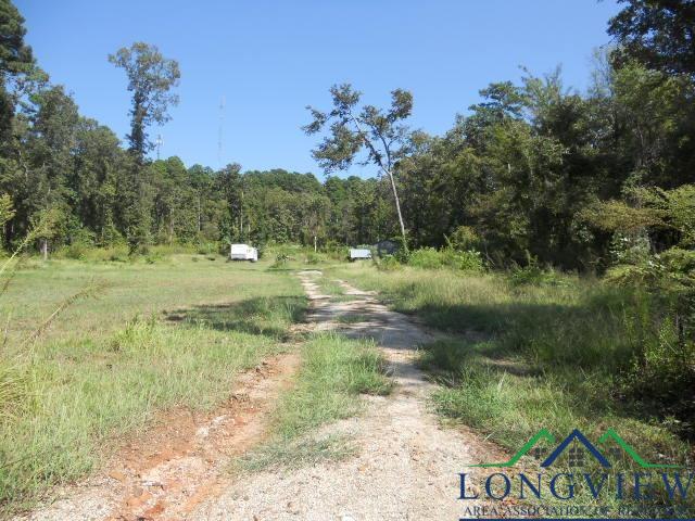 280 Primrose Rd, Gilmer, Texas image 1