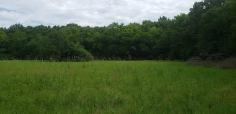 Vacant Land For Sale - 2405 Fm 2455<br/> Pittsburg, TX 75686